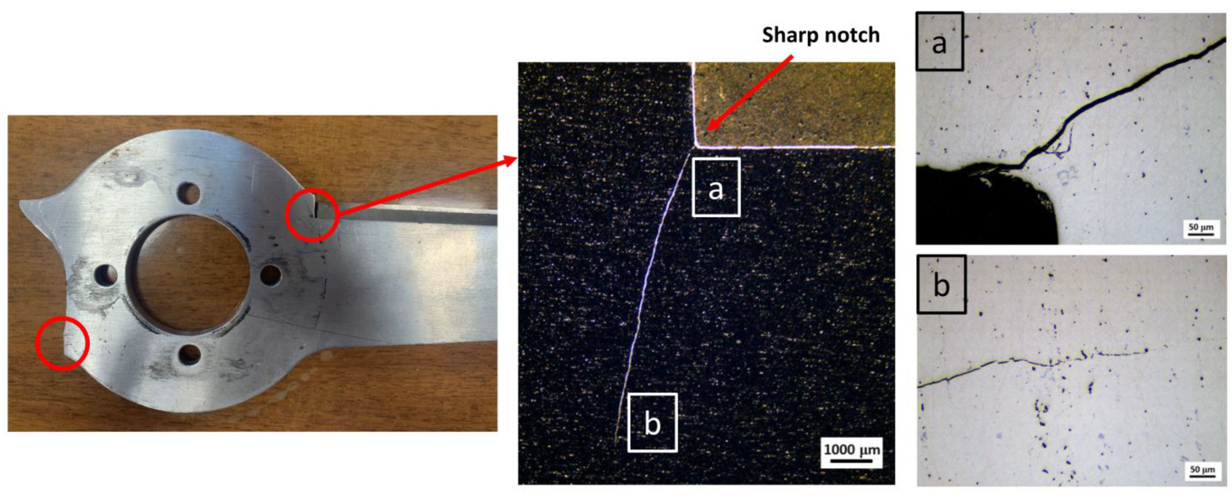 Metals 14 00301 g004