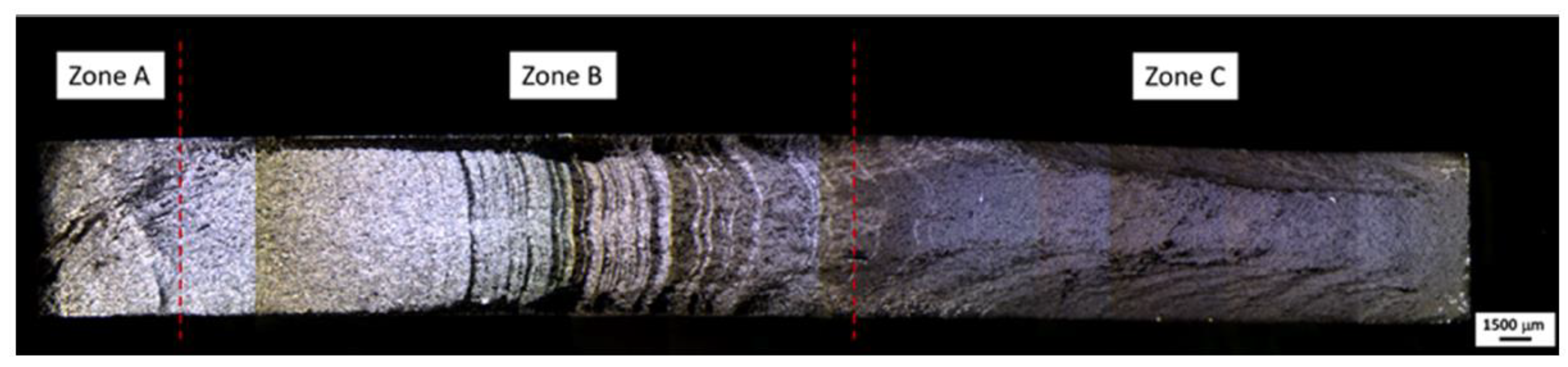 Metals 14 00301 g005