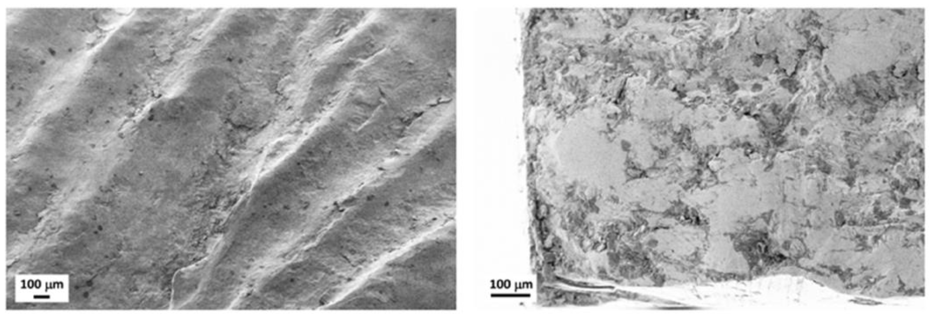 Metals 14 00301 g006