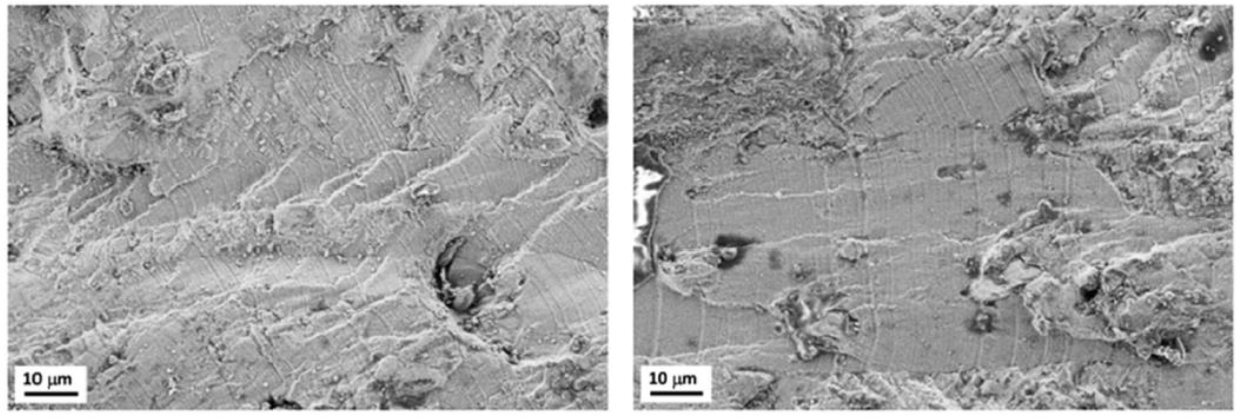 Metals 14 00301 g007