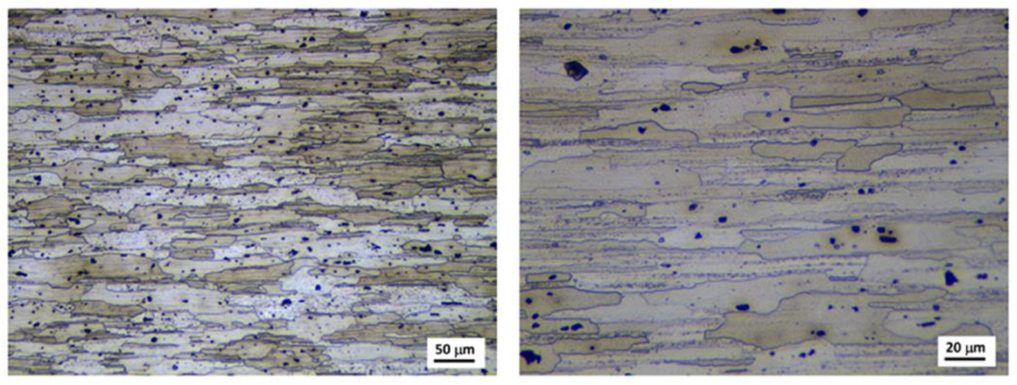 Metals 14 00301 g010