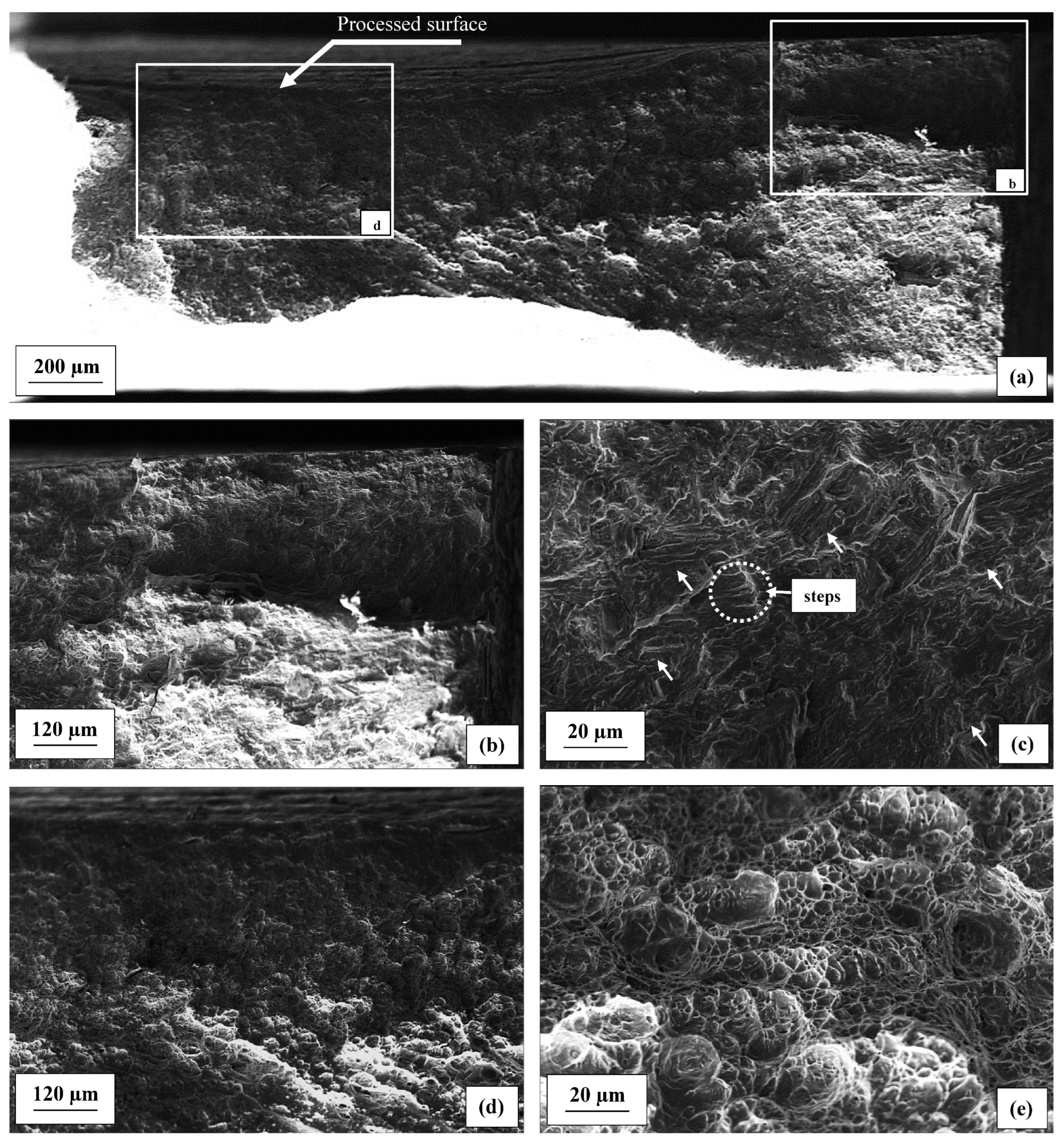 Metals 14 00305 g010