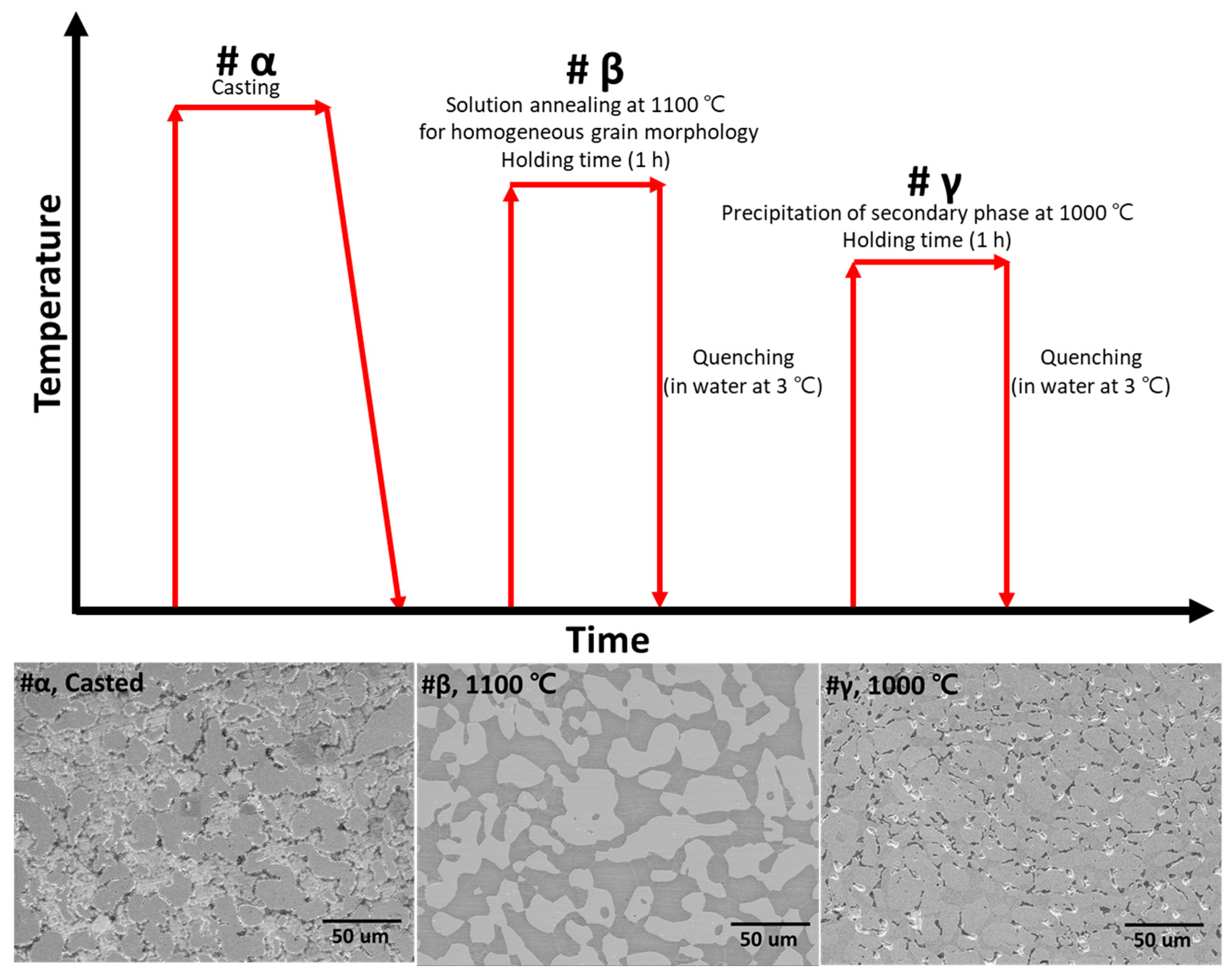 Metals 14 00307 g001