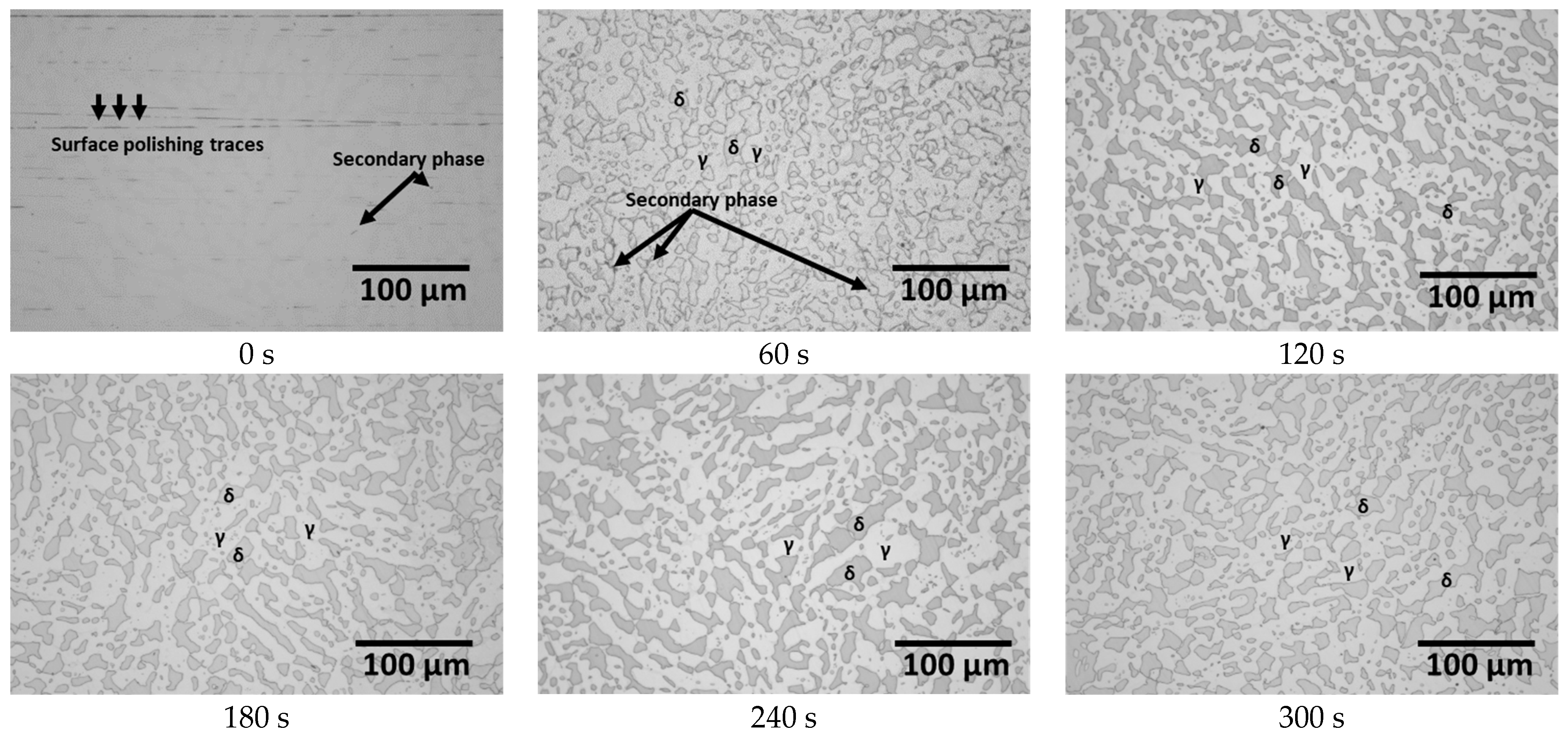 Metals 14 00307 g003