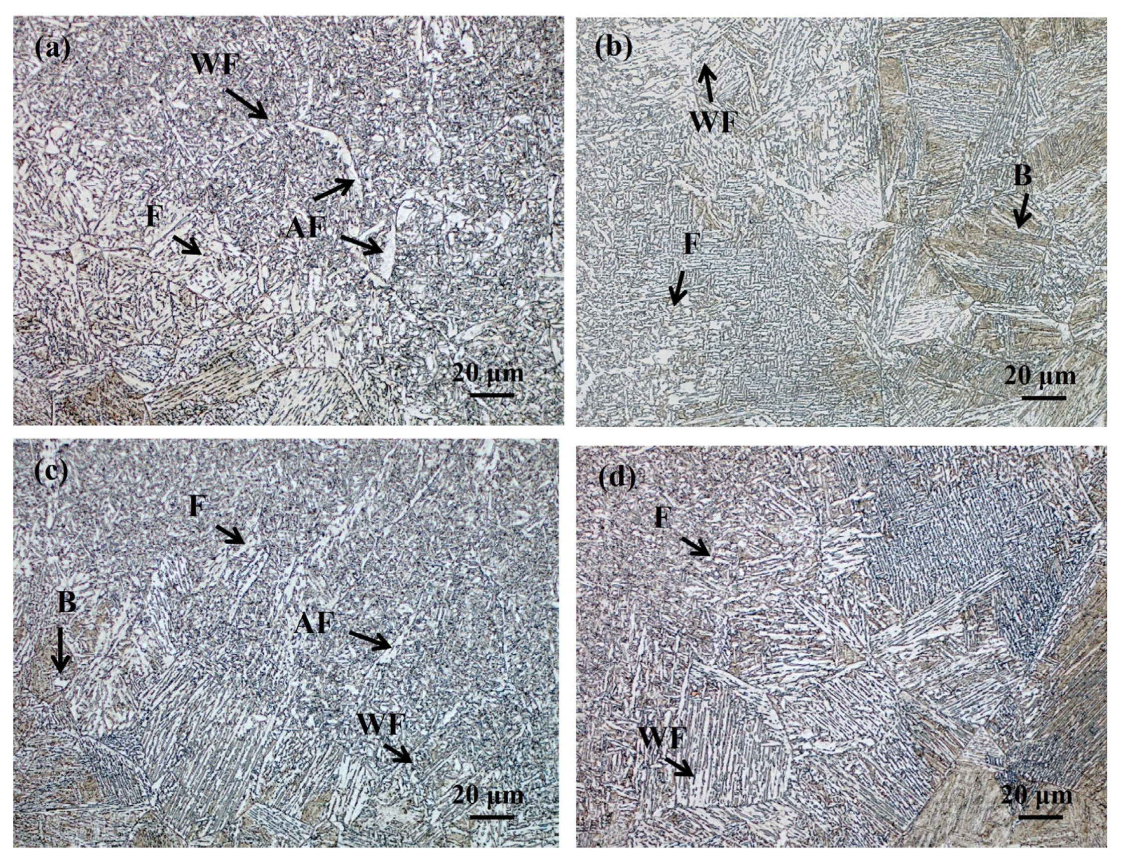 Metals 14 00309 g008