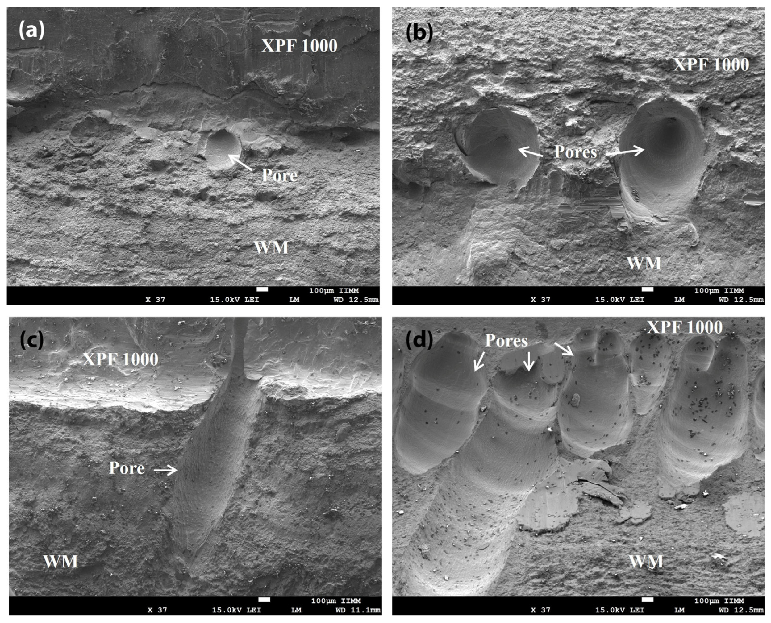 Metals 14 00309 g009