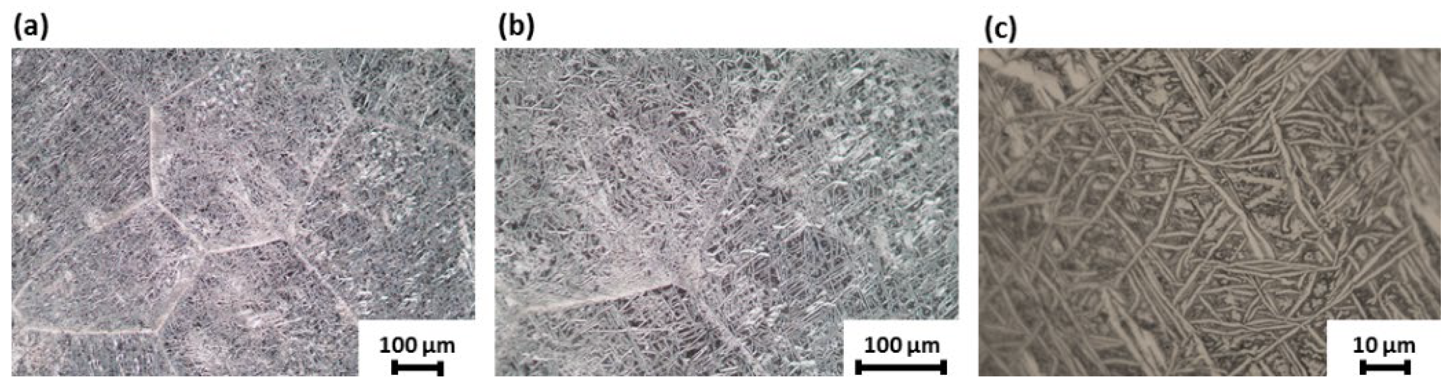 Metals 14 00323 g004