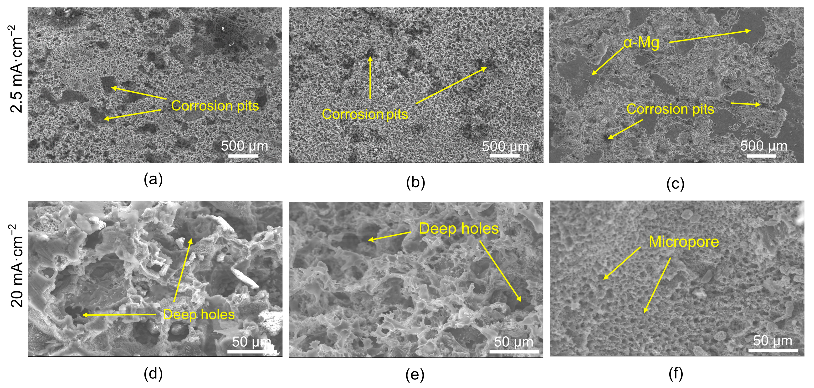 Metals 14 00344 g011