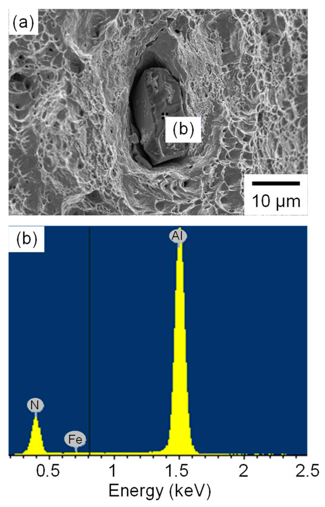 Metals 14 00346 g013