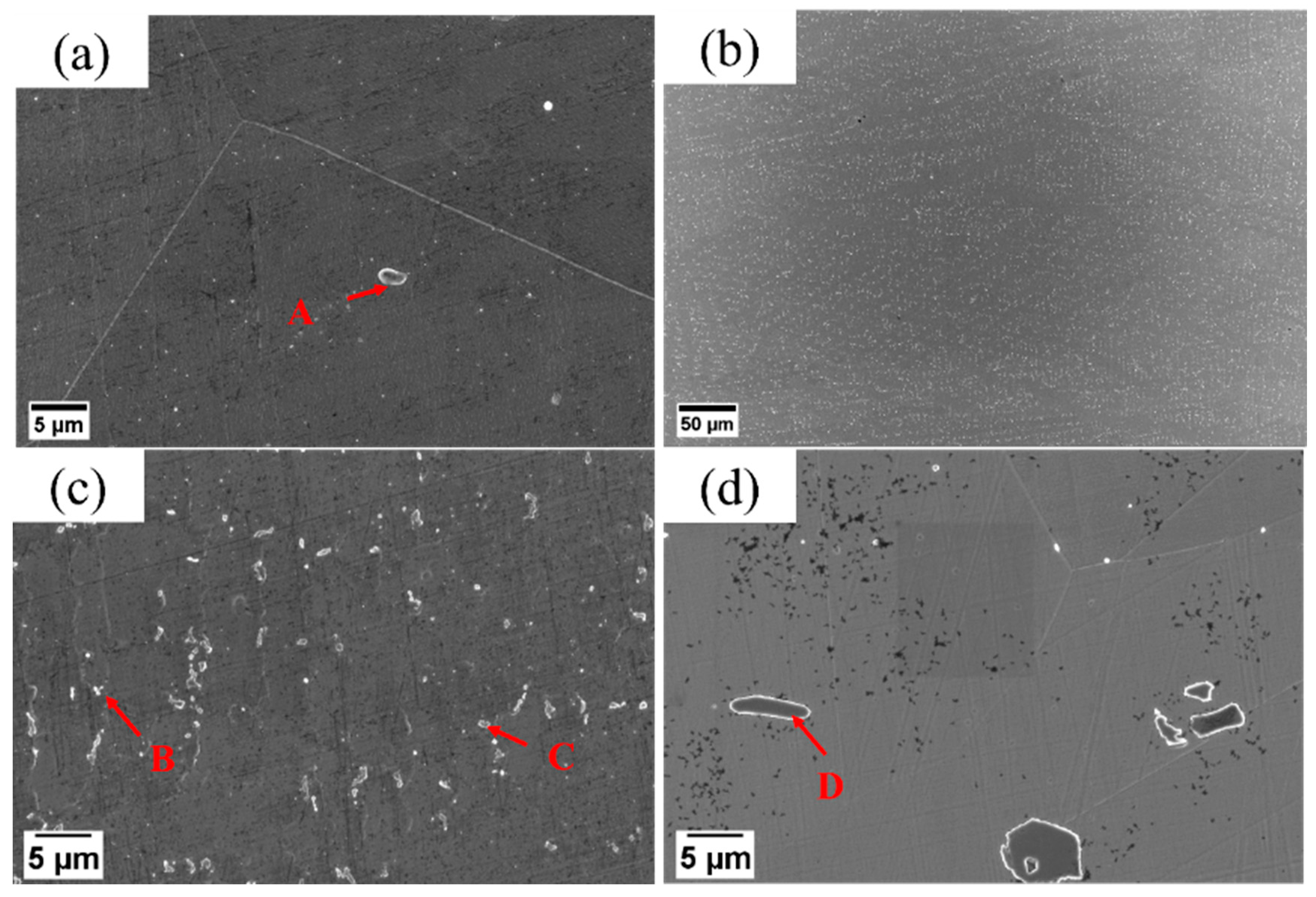 Metals 14 00348 g007