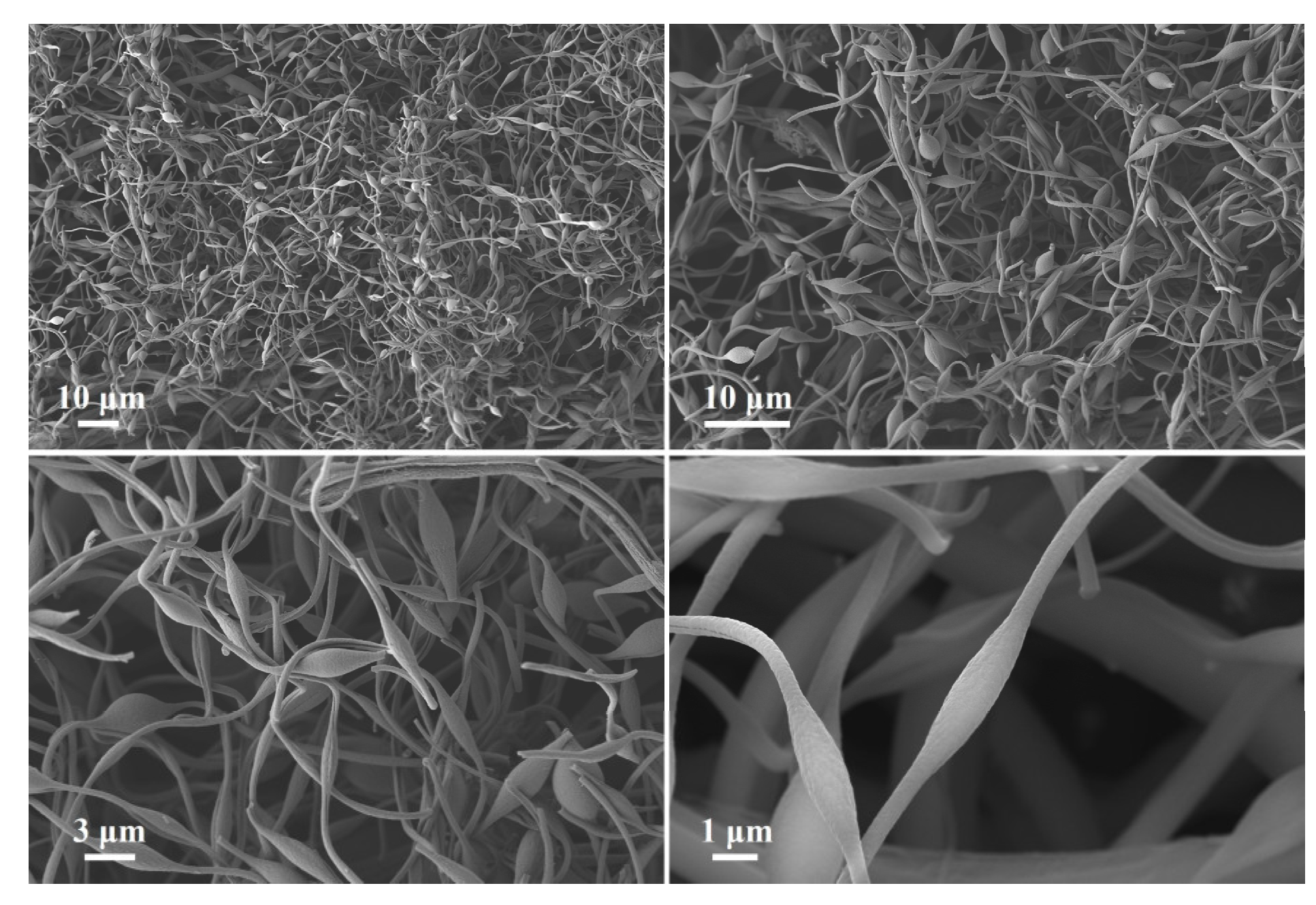 Metals 14 00351 g004