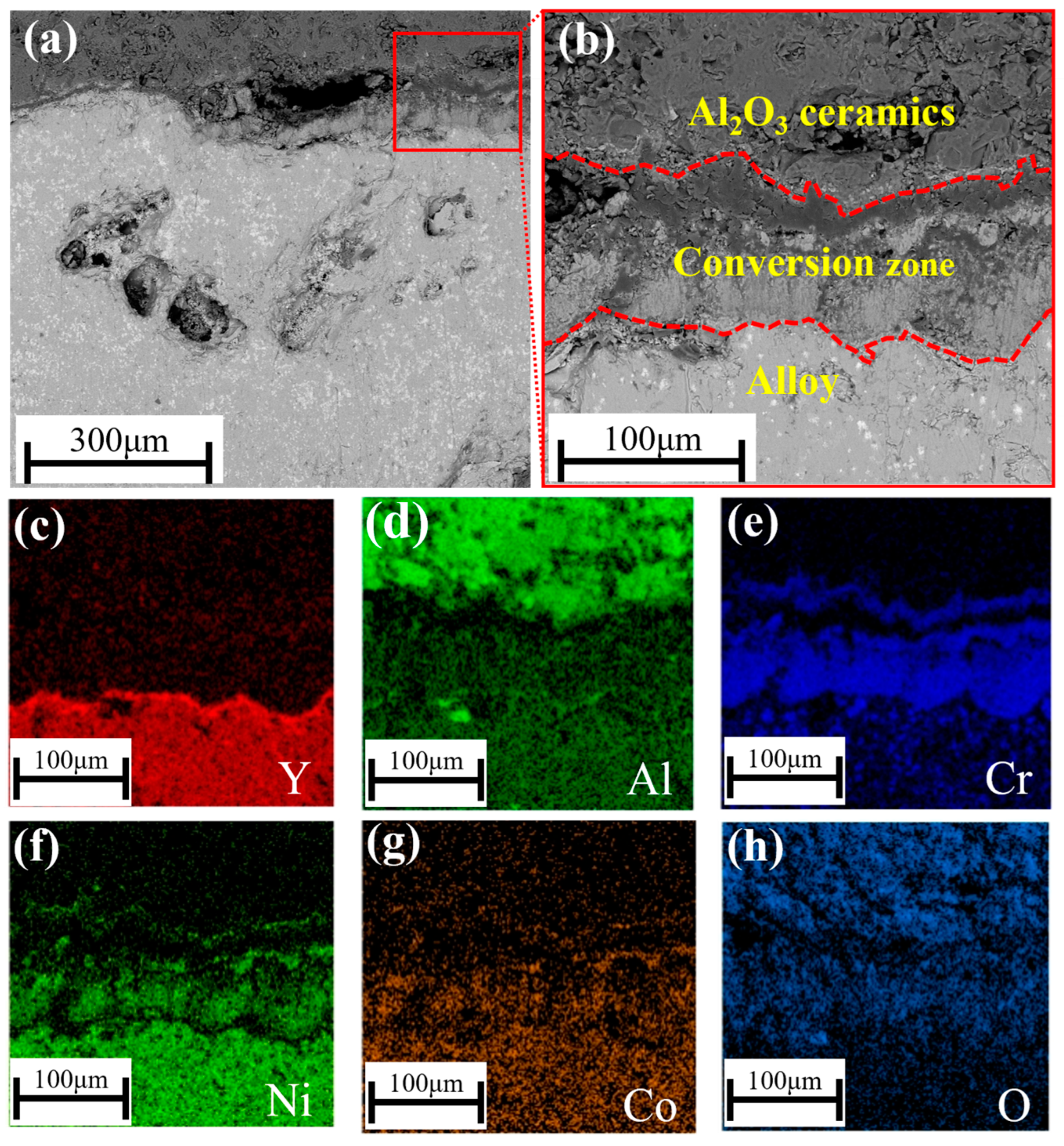 Metals 14 00353 g004
