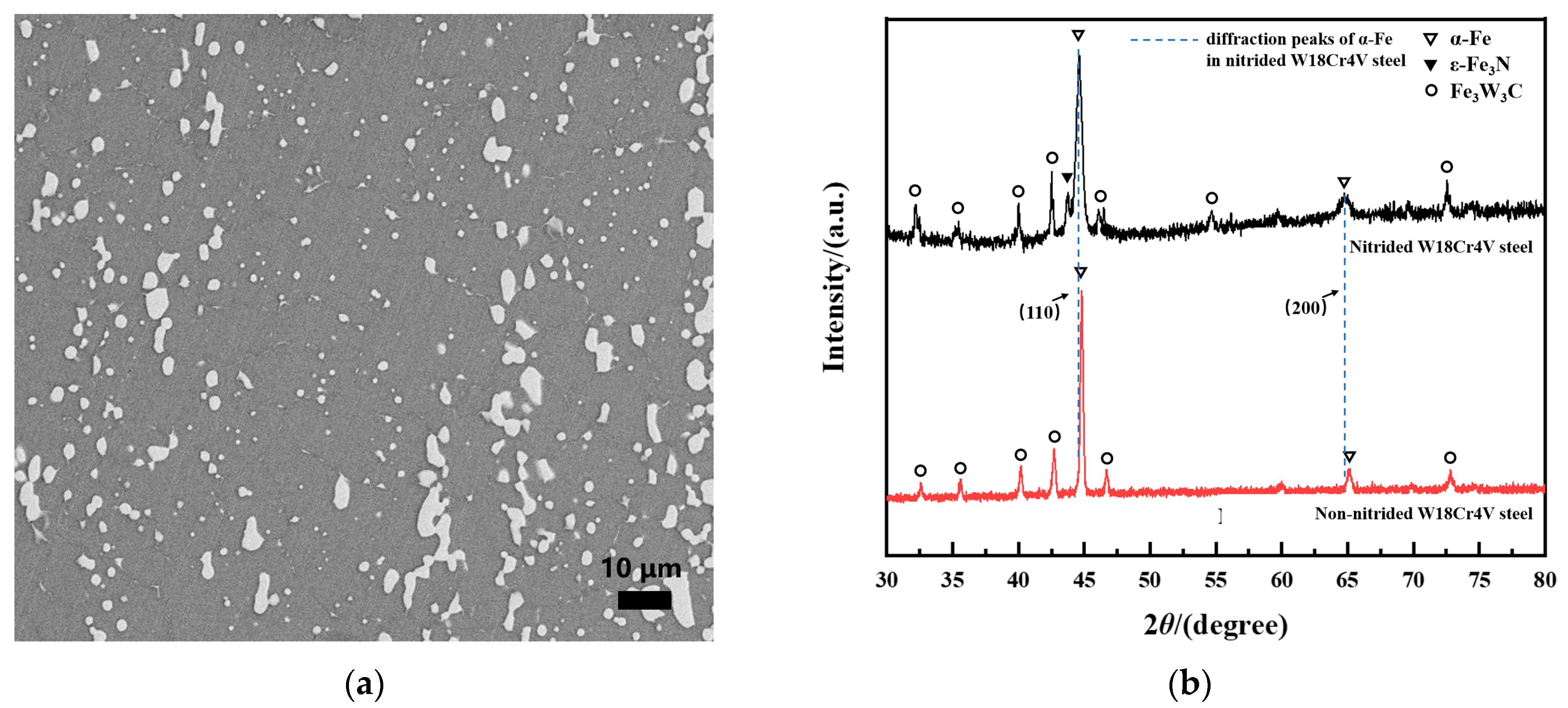 Metals 14 00357 g001