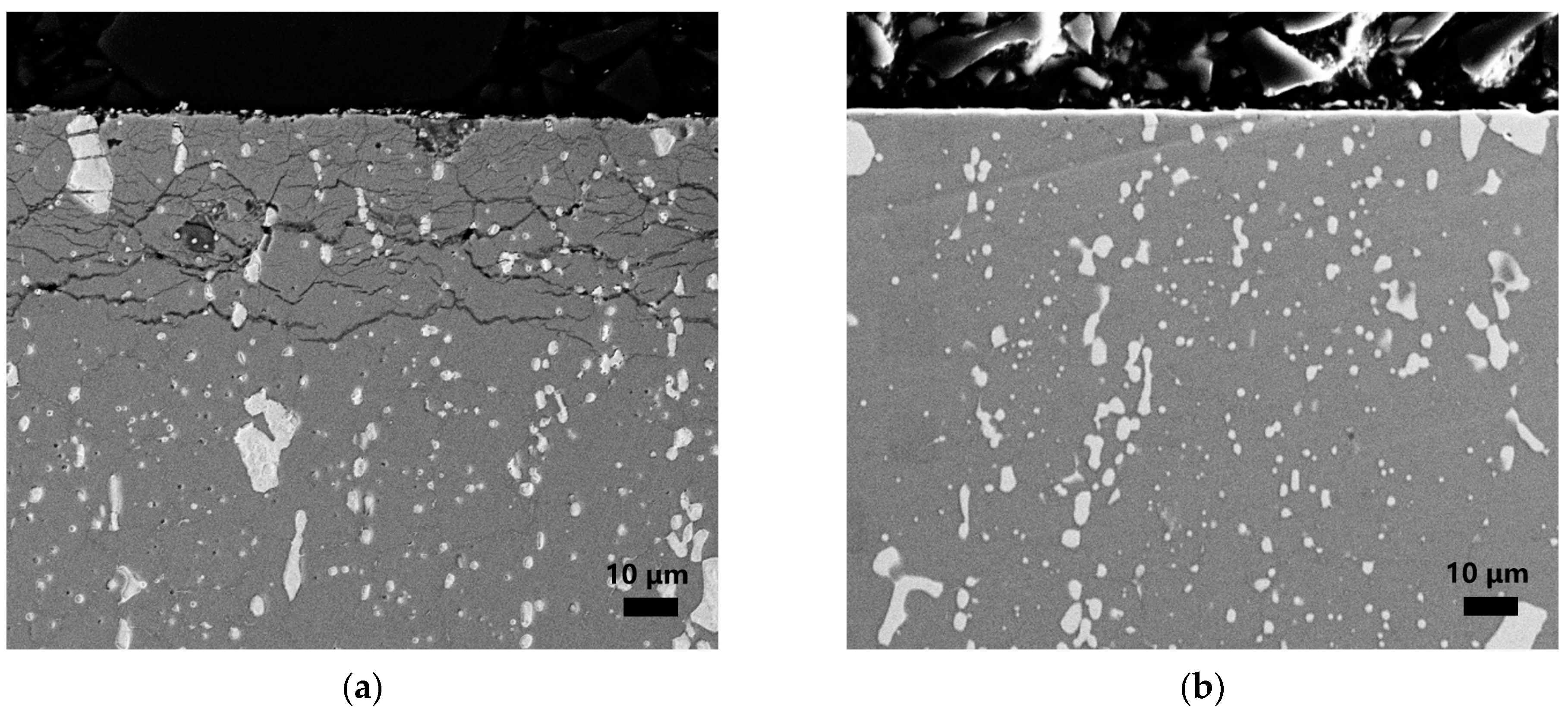 Metals 14 00357 g004