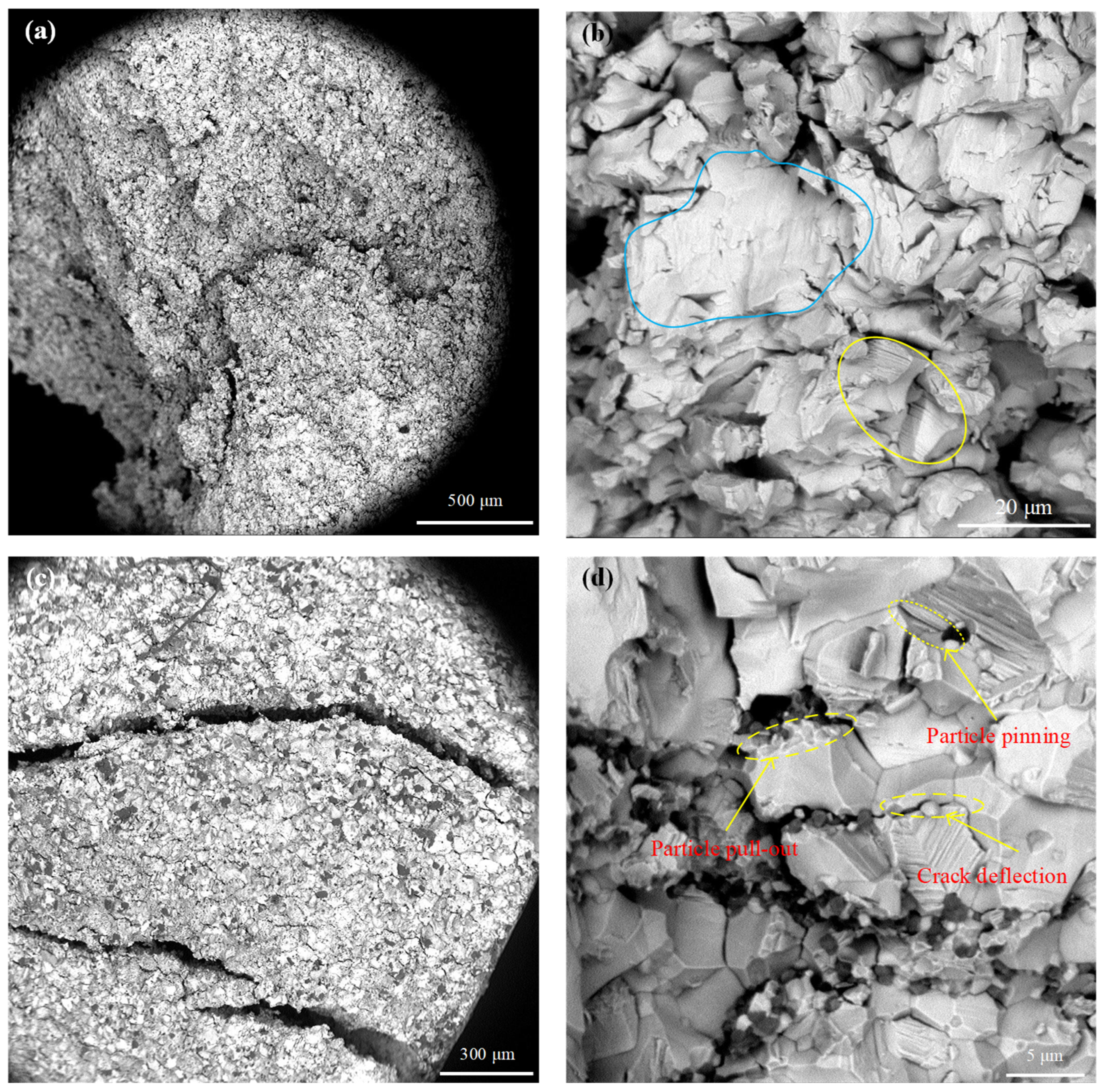 Metals 14 00392 g014