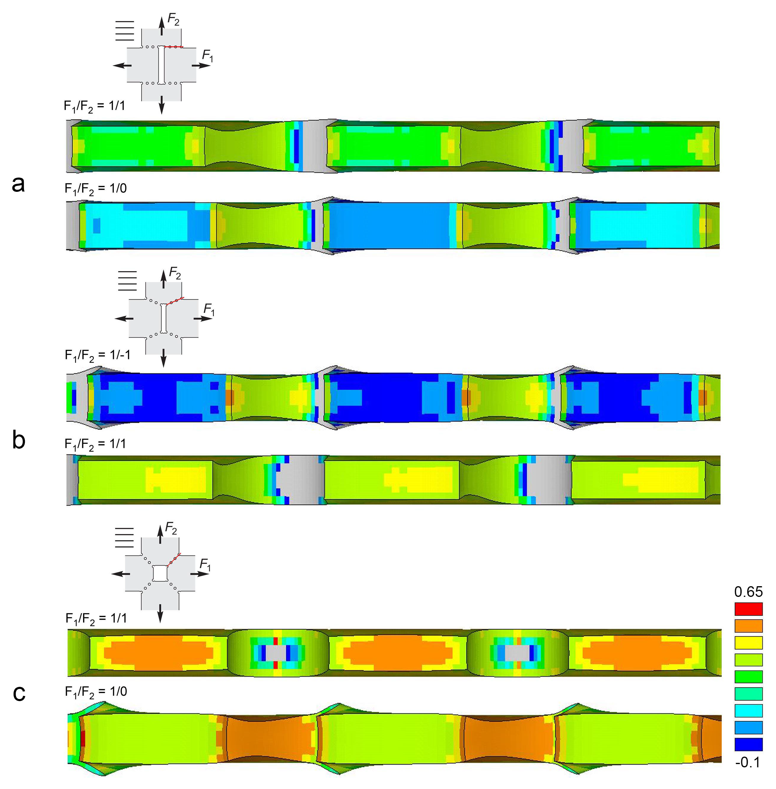 Metals 14 00397 g007