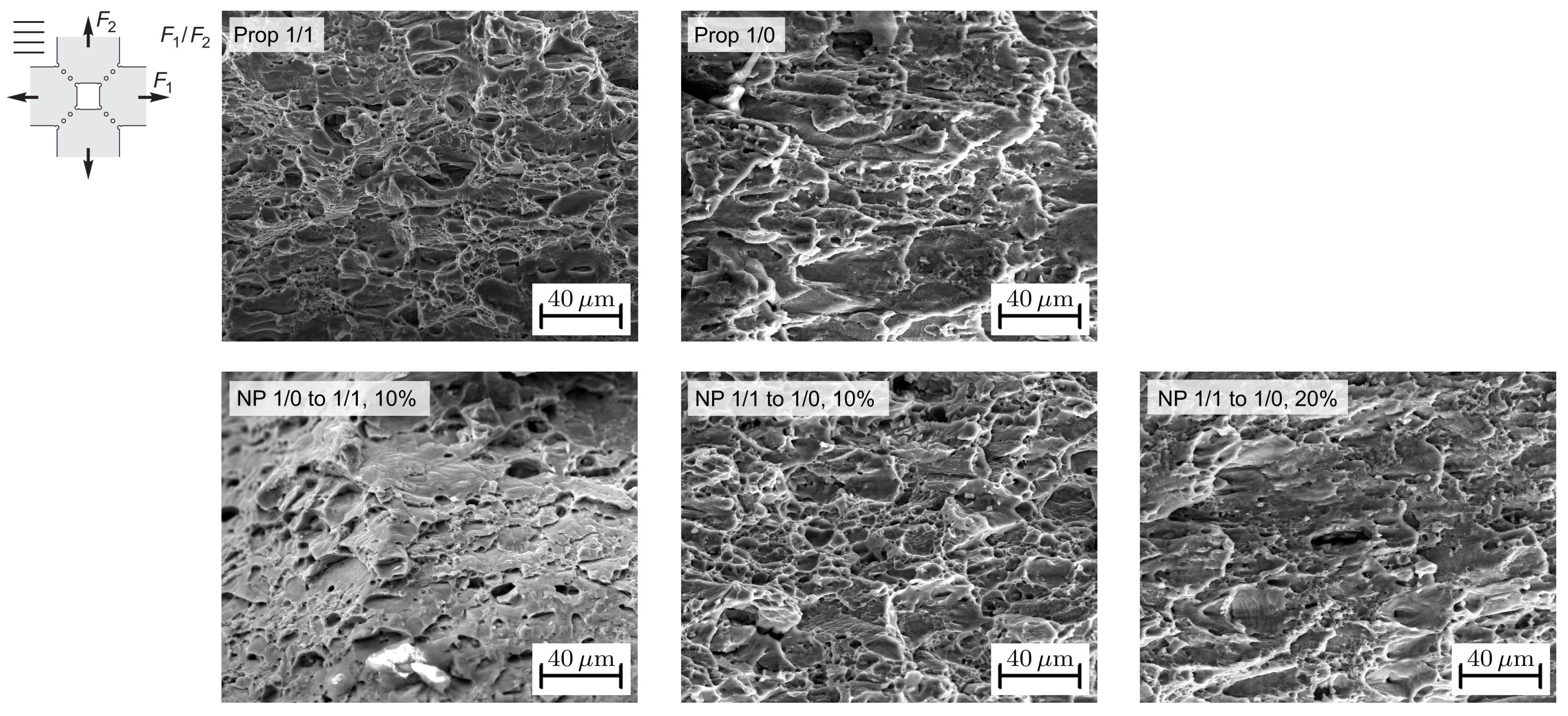 Metals 14 00397 g017