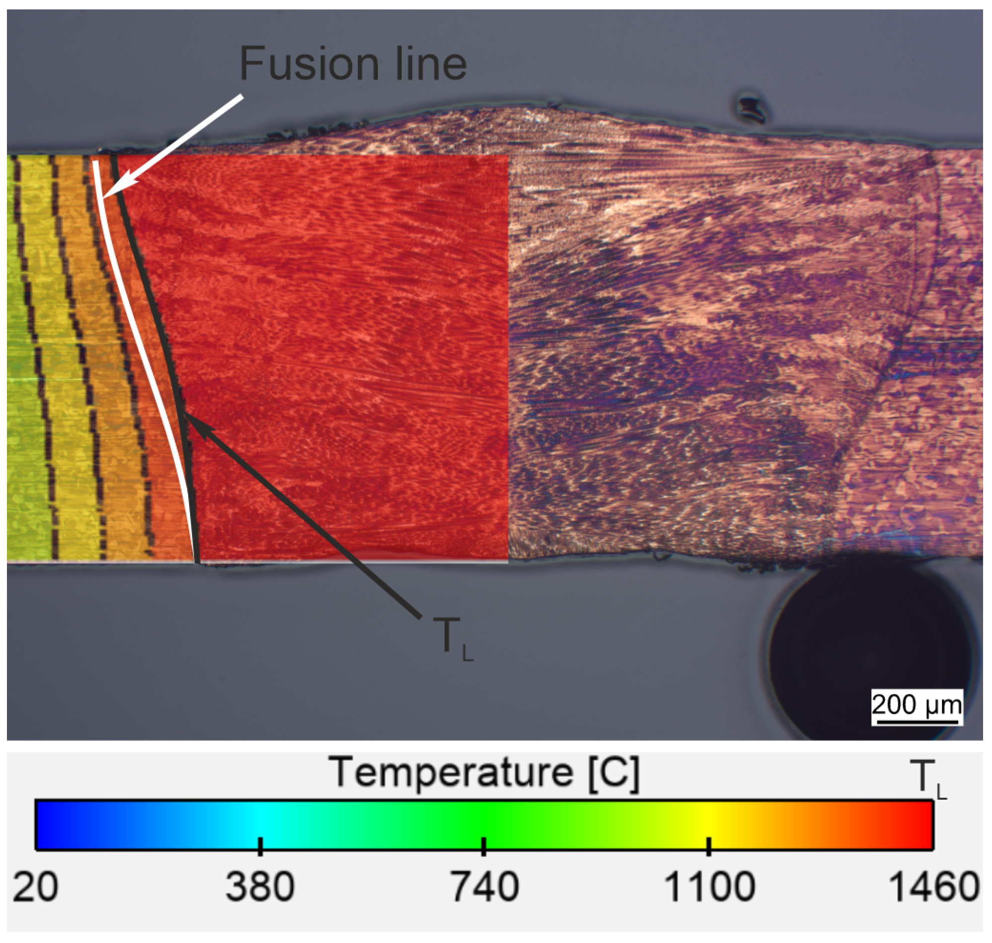 Metals 14 00430 g005