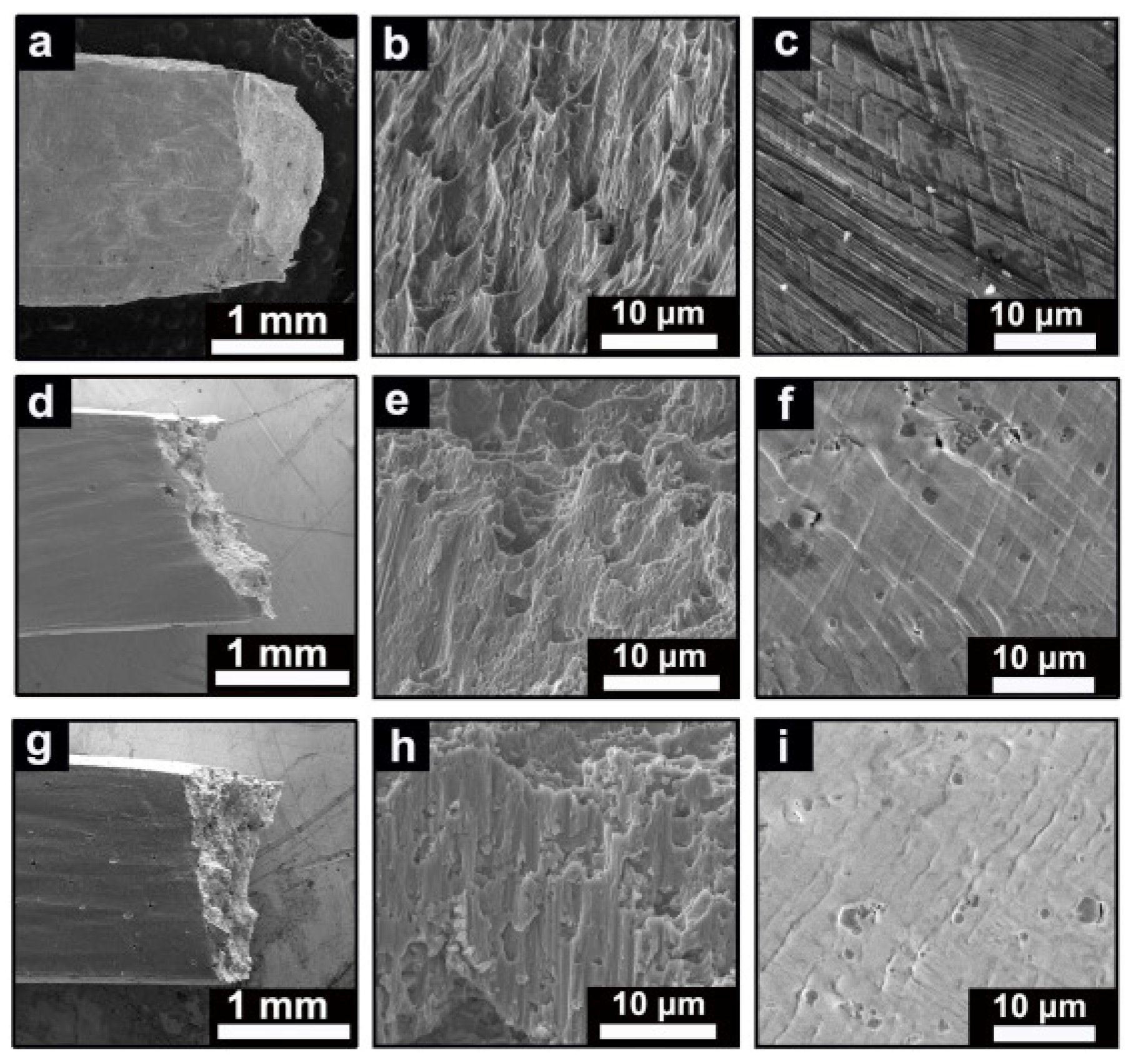 Metals 14 00437 g014