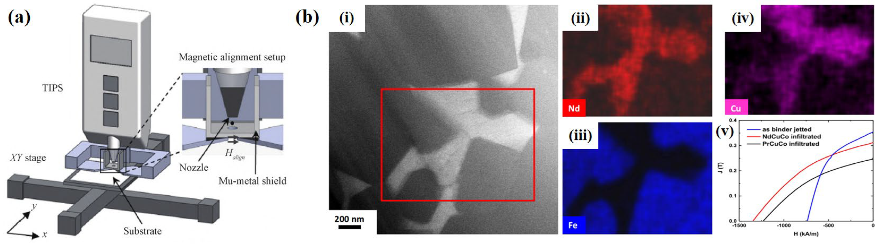 Metals 14 00446 g005