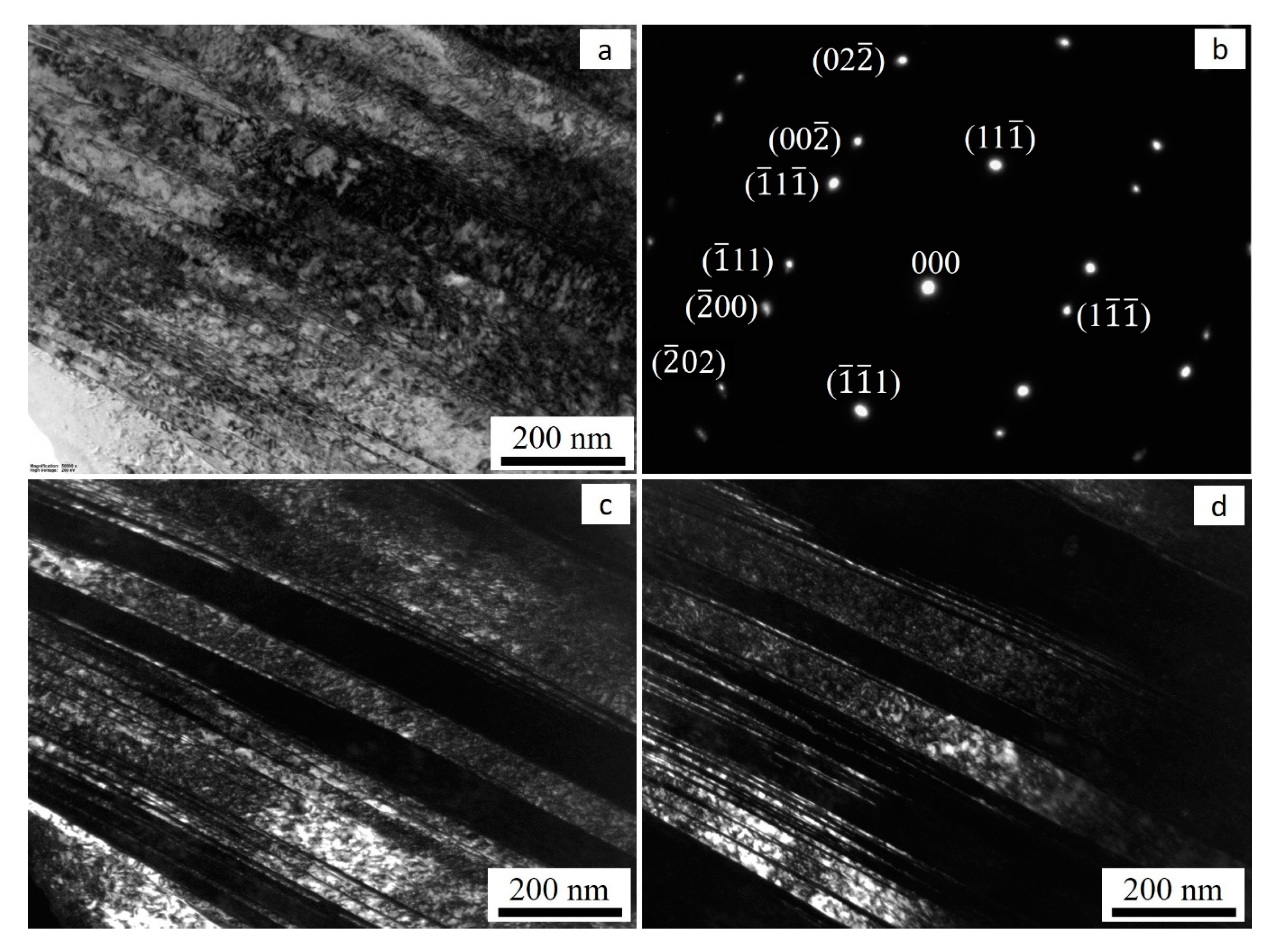 Metals 14 00455 g017