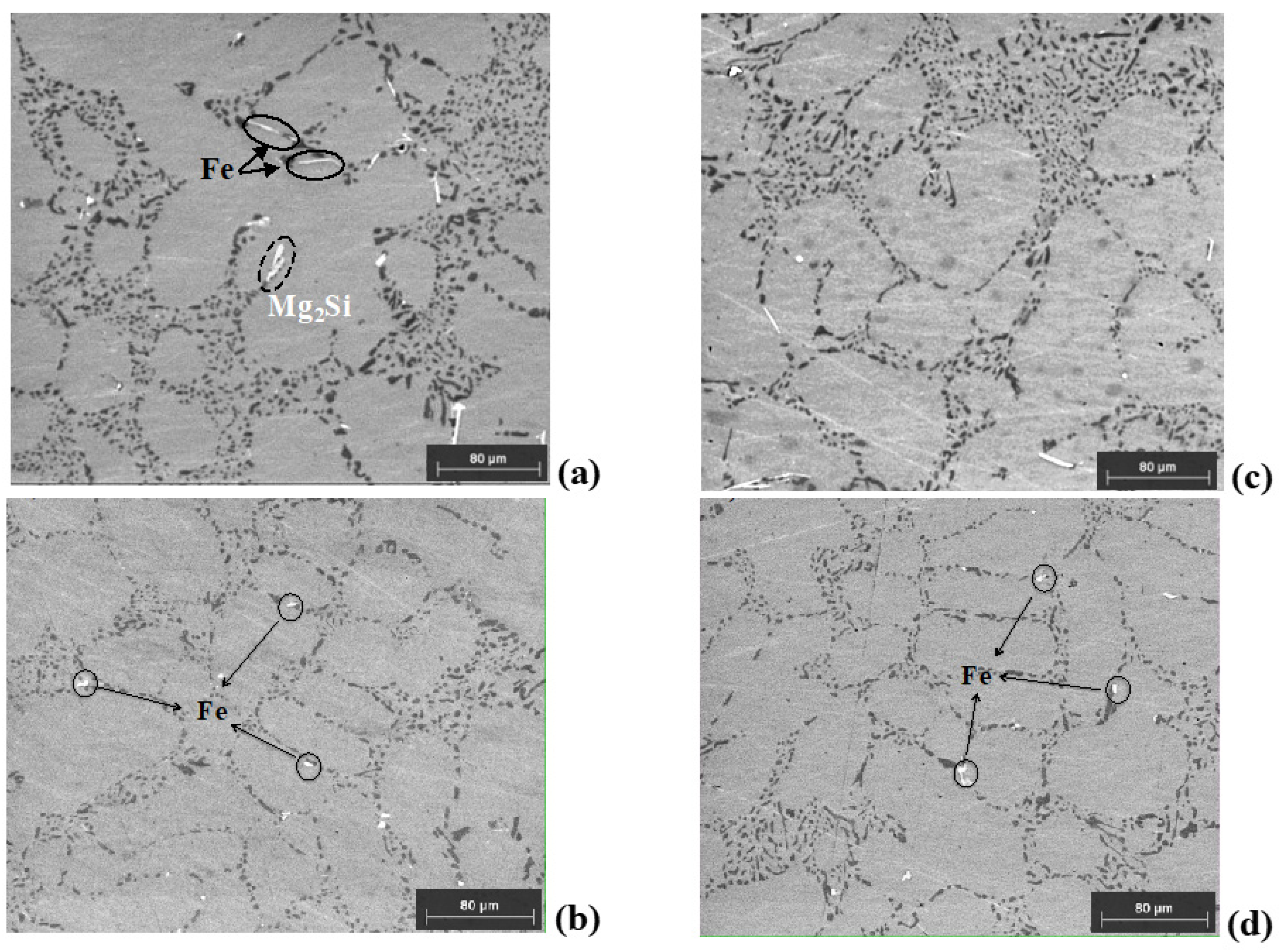 Metals 14 00461 g009