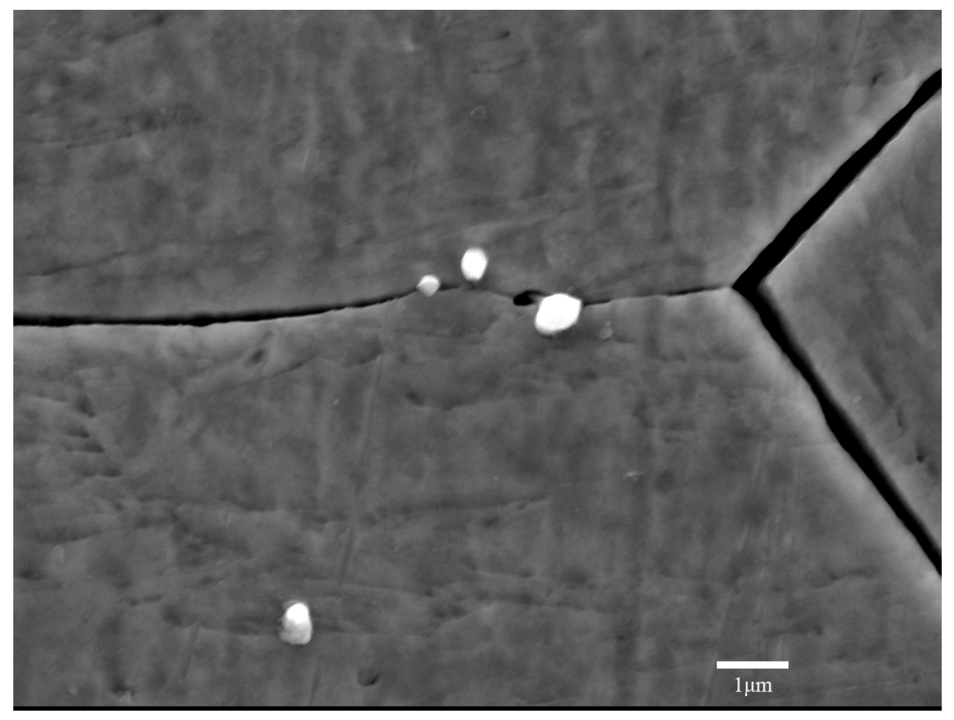 Metals 14 00469 g010