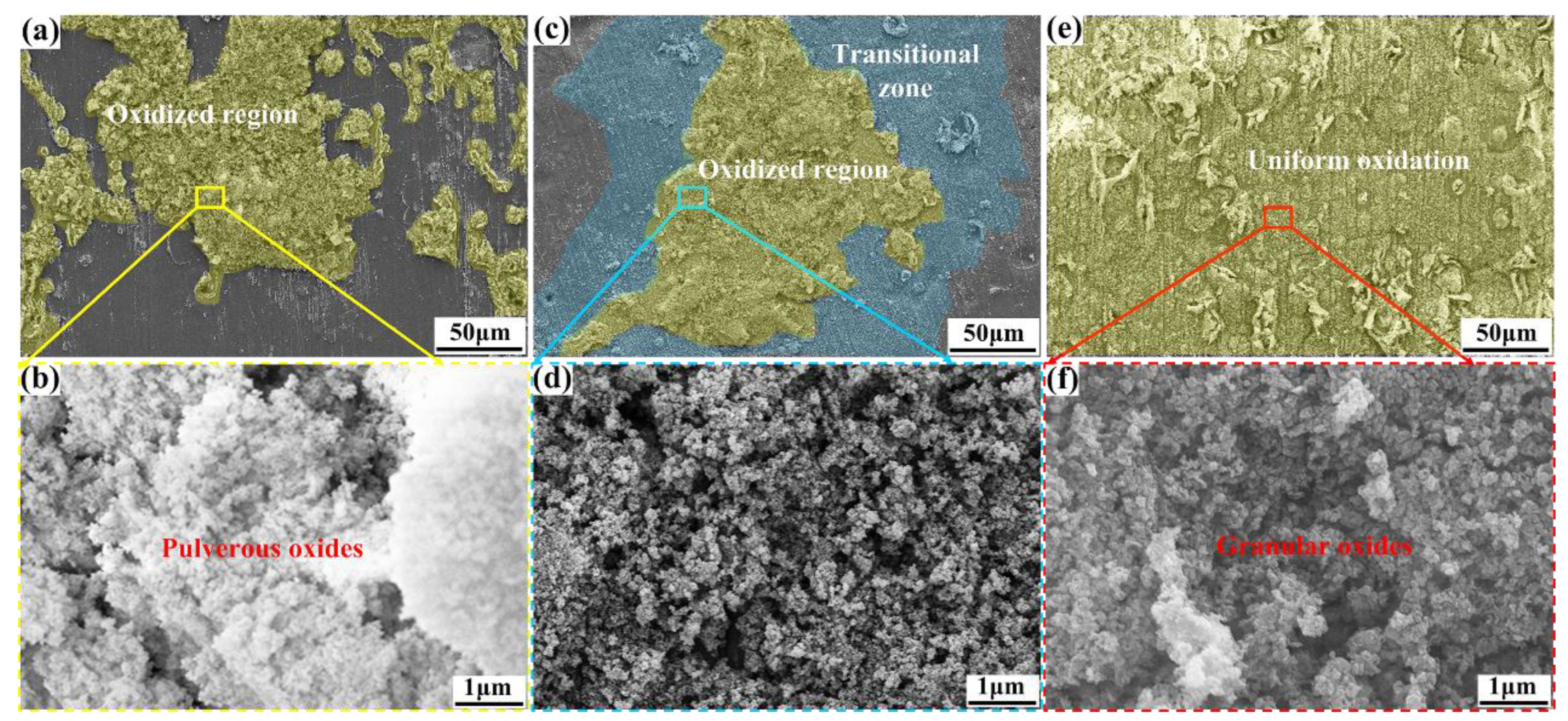 Metals 14 00474 g005