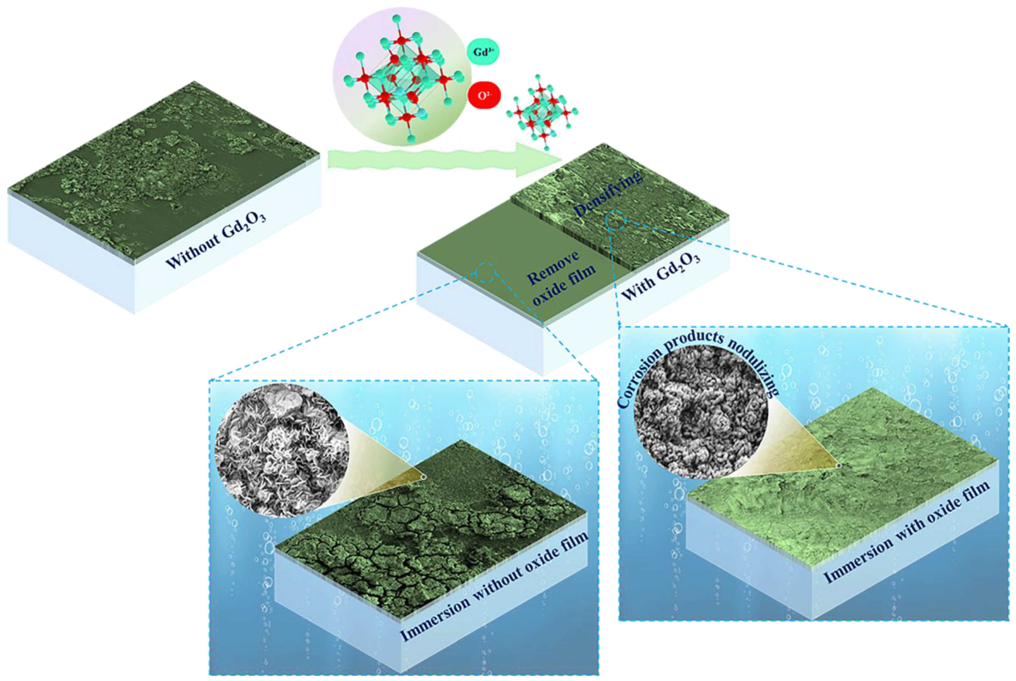 Metals 14 00474 g014