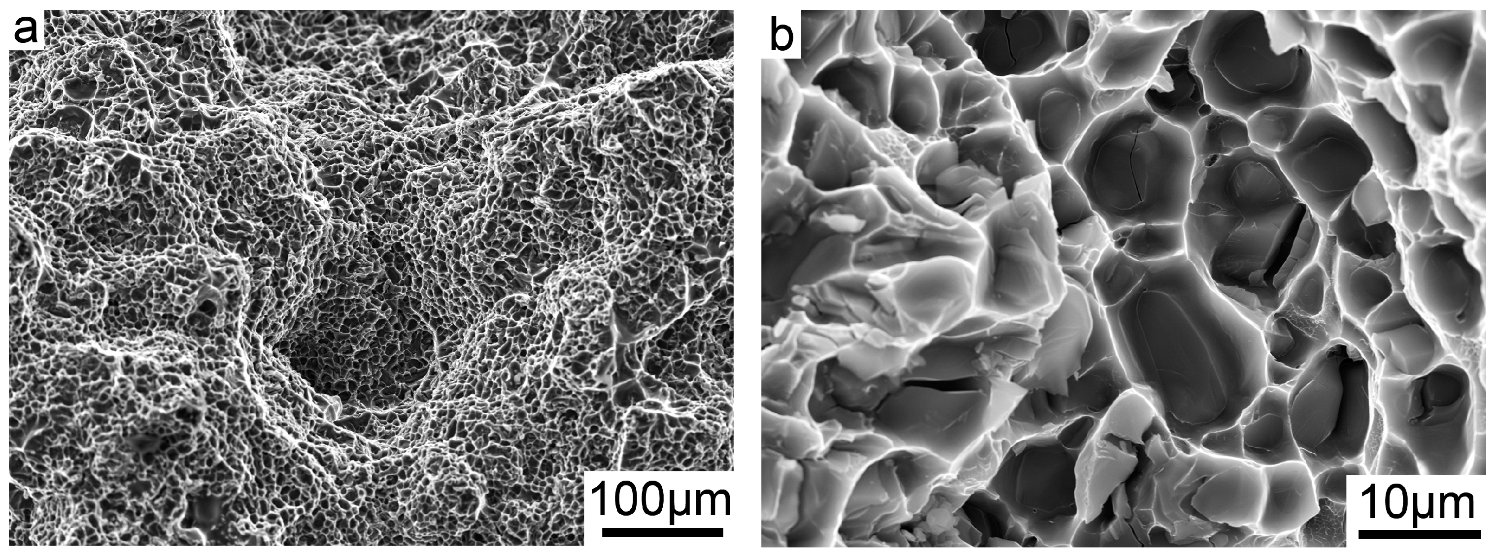 Metals 14 00485 g008a