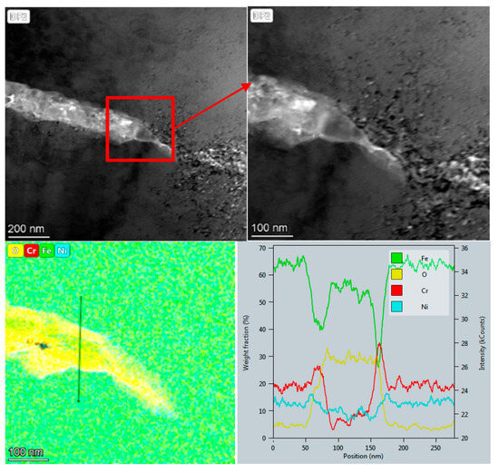 Study on Corrosion Fatigue Behavior of 304L Austenite Stainless