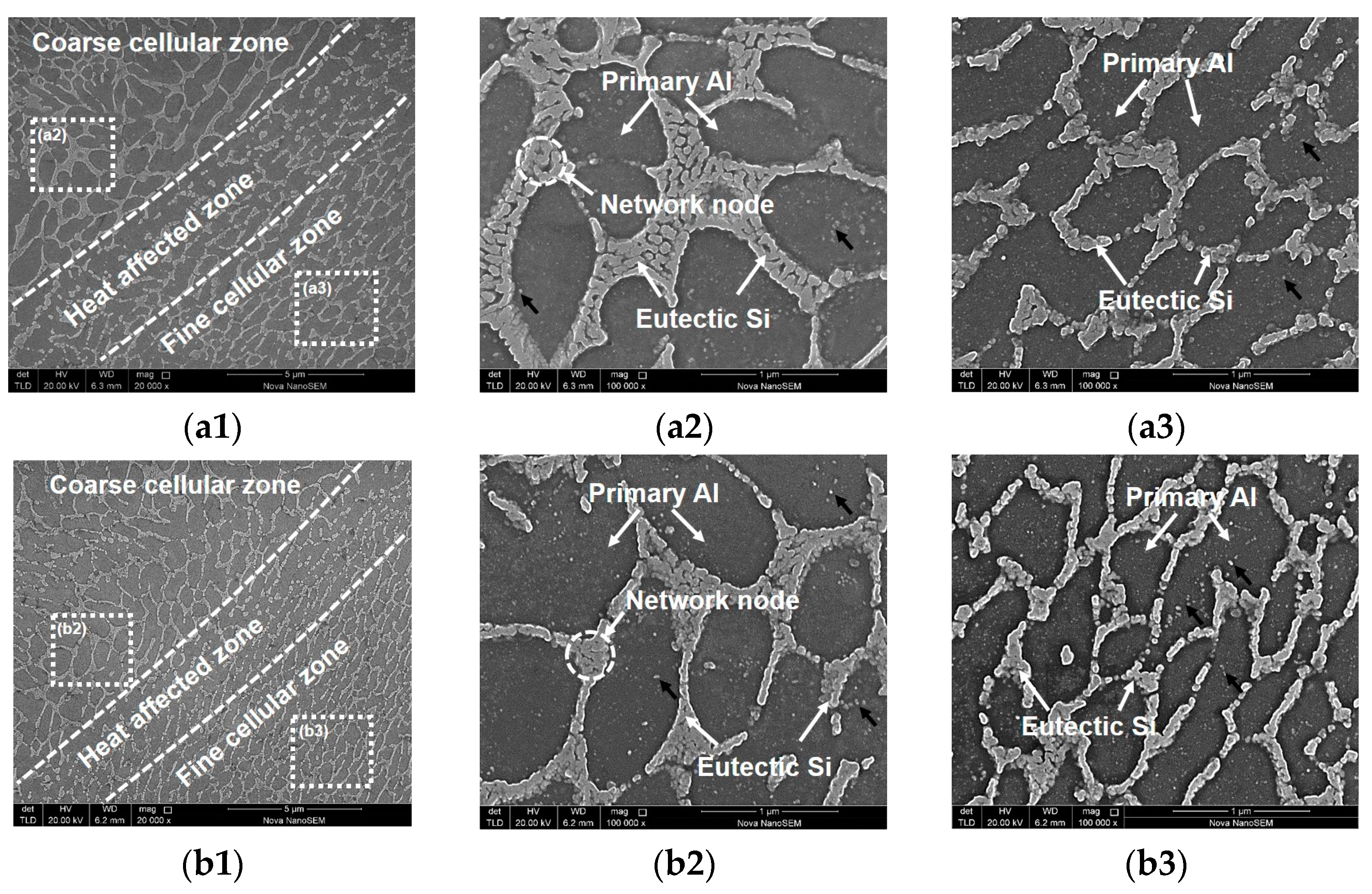 Metals 14 00493 g005a