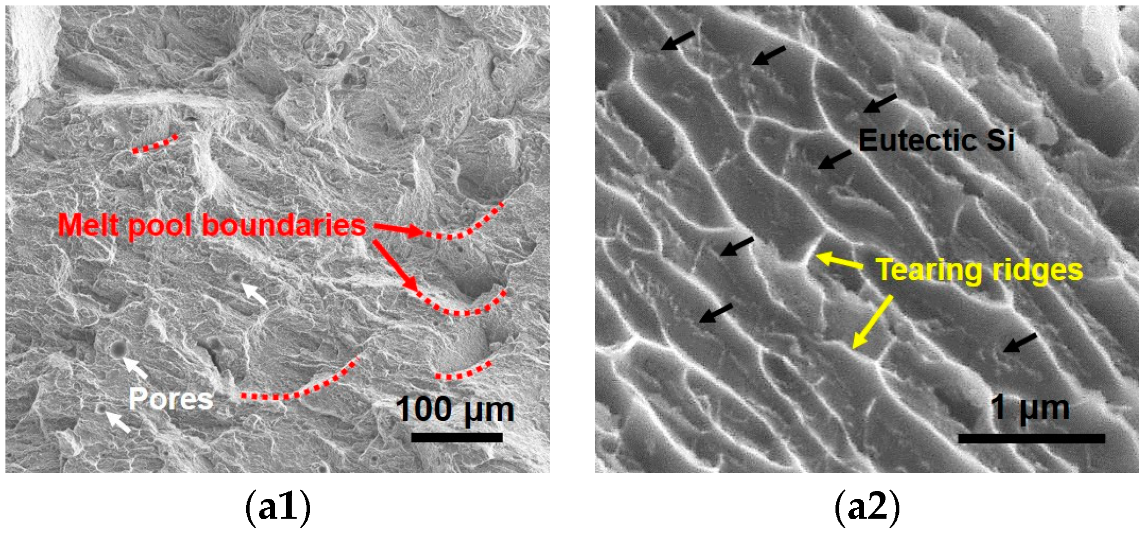 Metals 14 00493 g011a