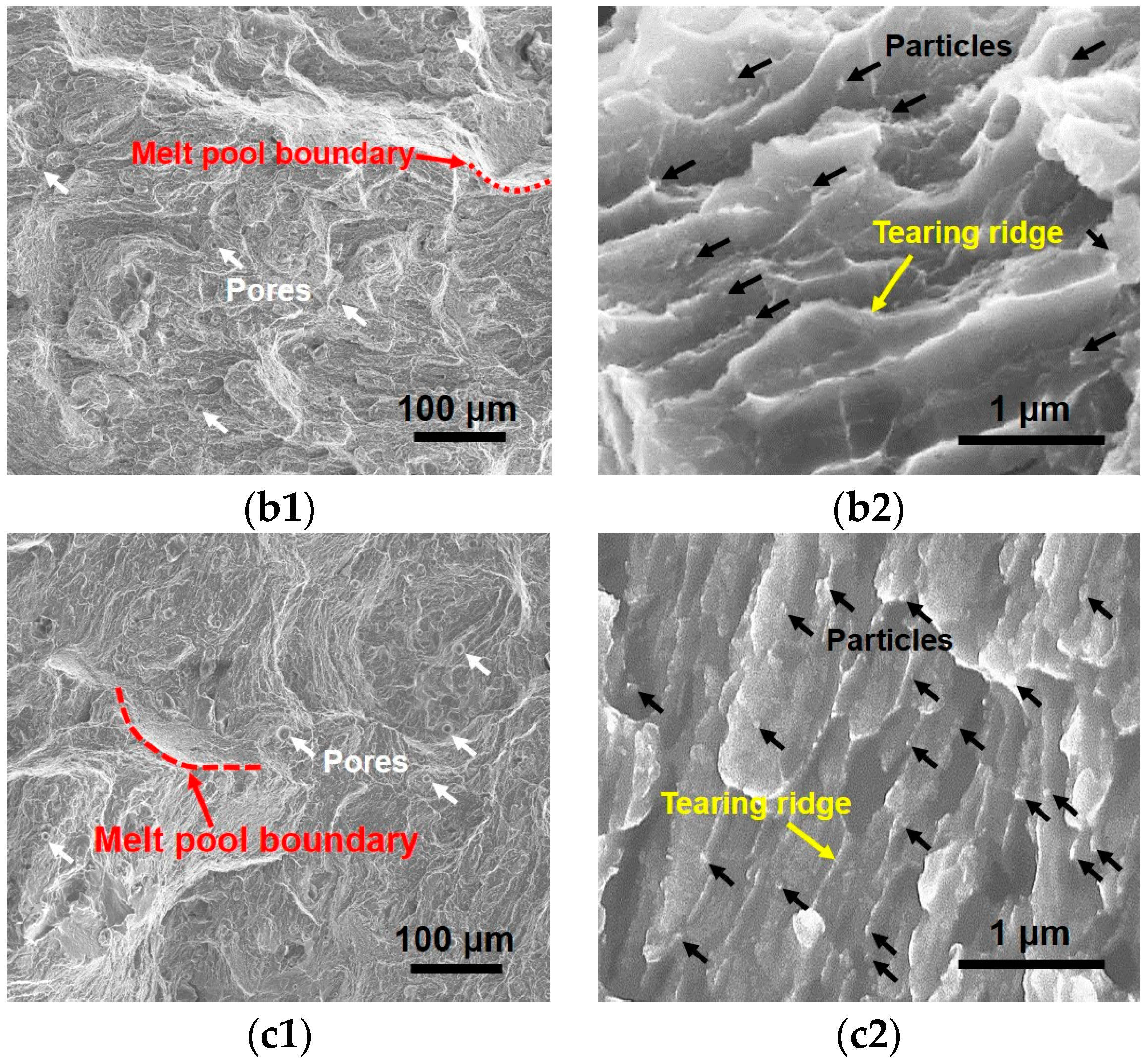 Metals 14 00493 g011b