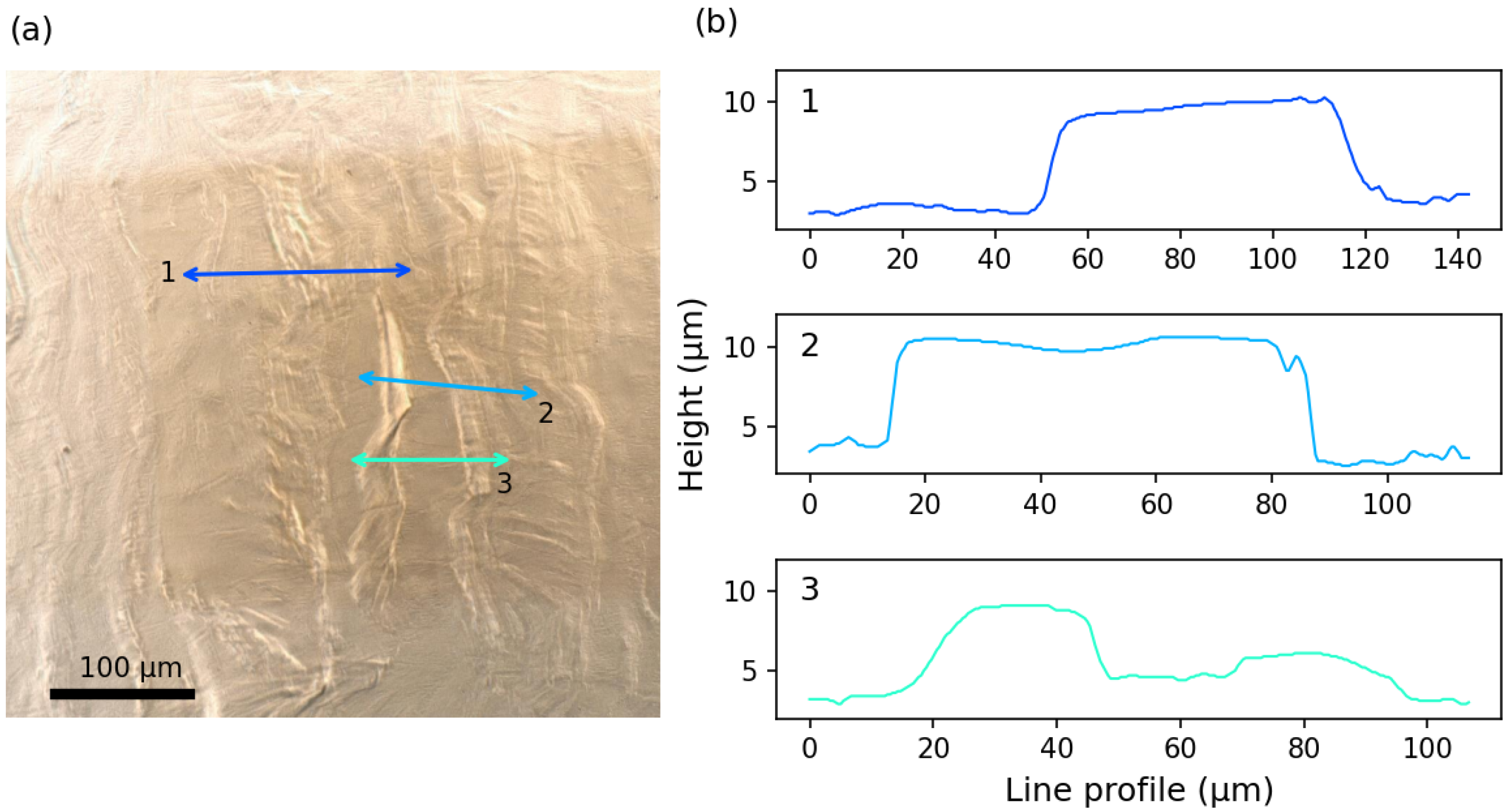 Metals 14 00496 g022