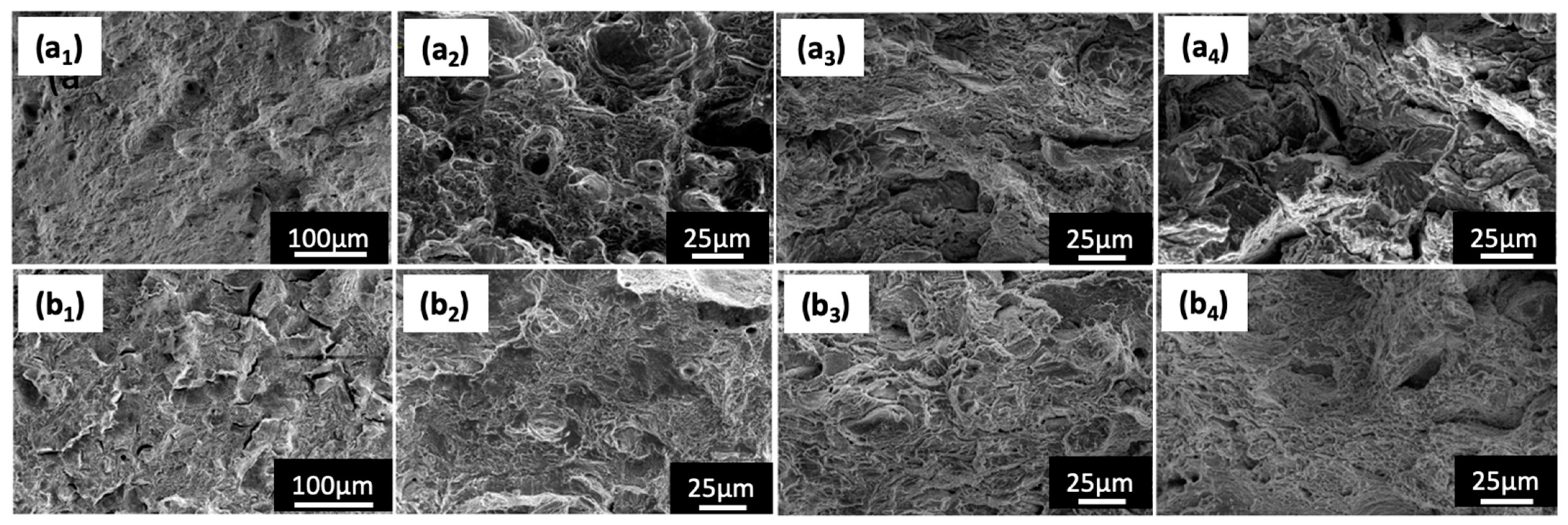 Metals 14 00500 g009