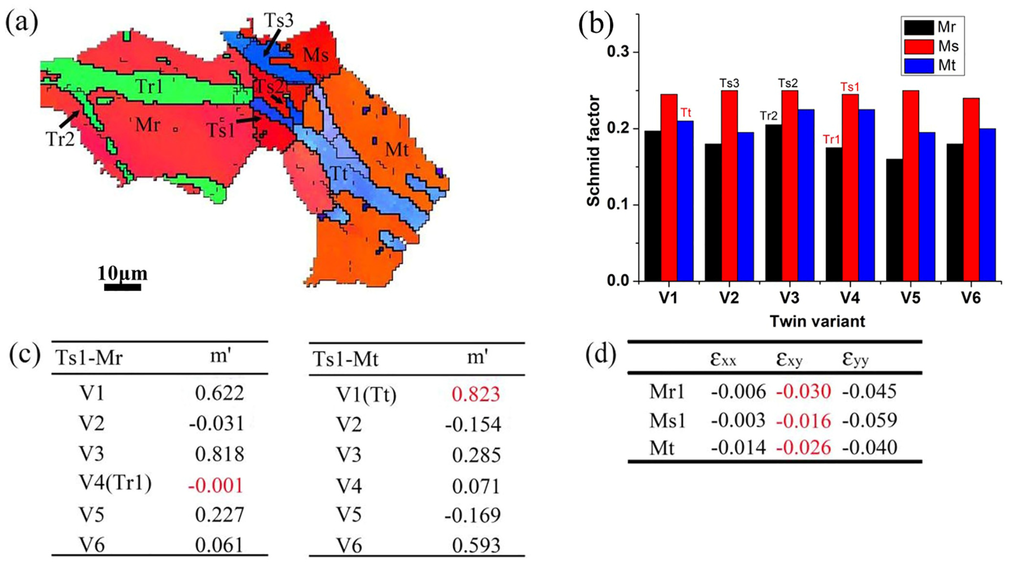 Metals 14 00502 g010