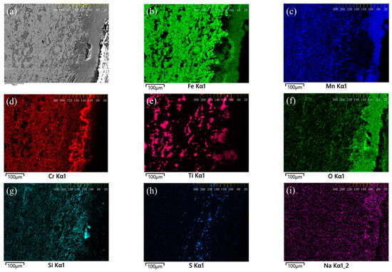 Insight into the Hot Corrosion Behavior of FeMnCrSi/TiC