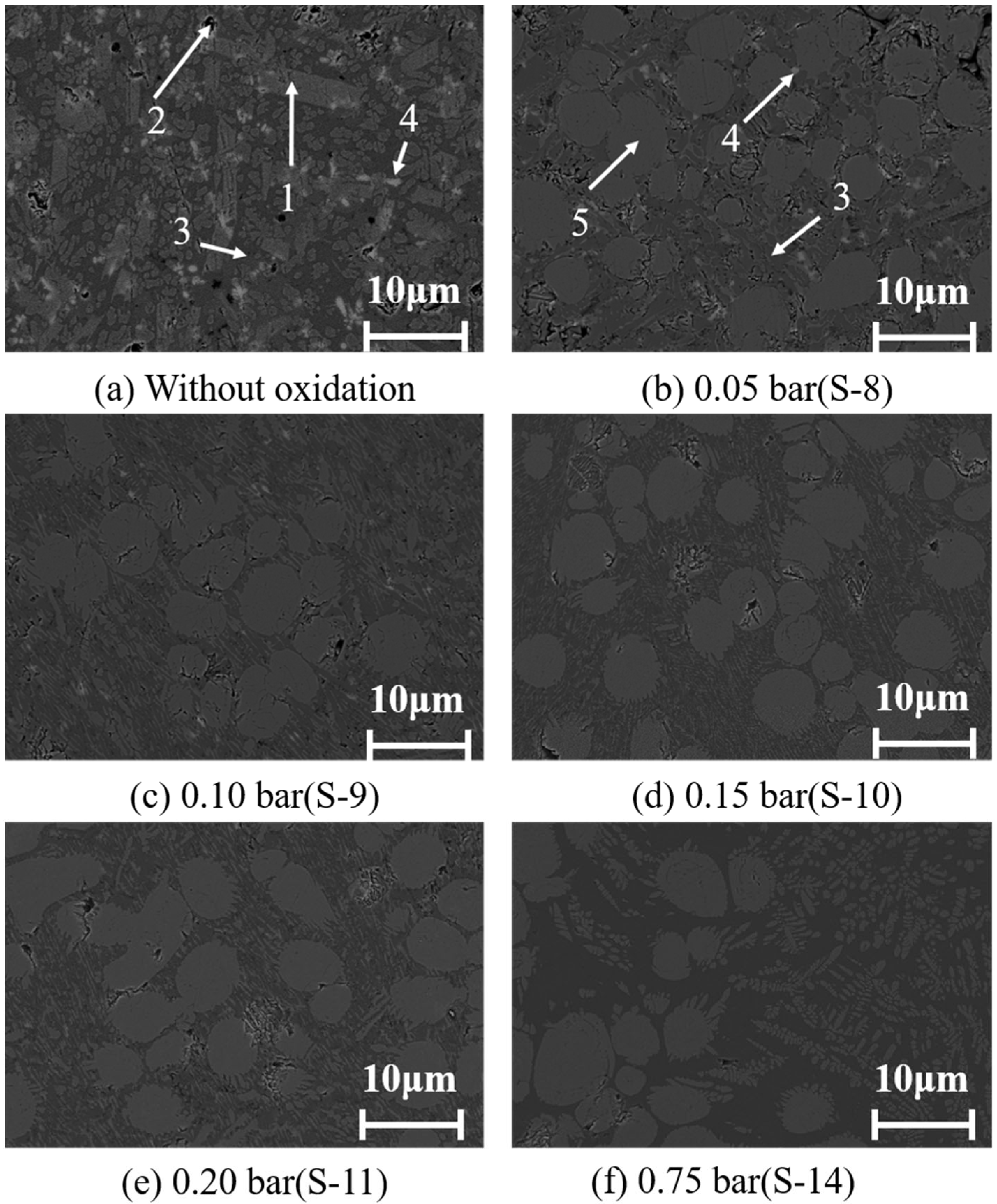 Metals 14 00516 g007 Metals 14 00516 g007