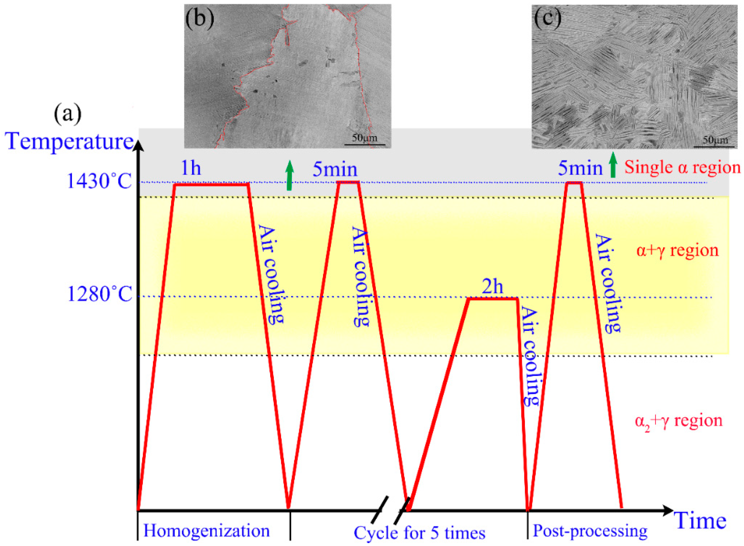 Metals 14 00521 g001