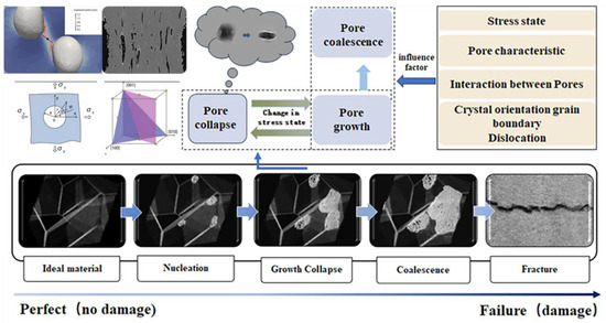 HUNDRED LINE -最終防衛学園 Advances in Understanding the Evolution Mechanism of