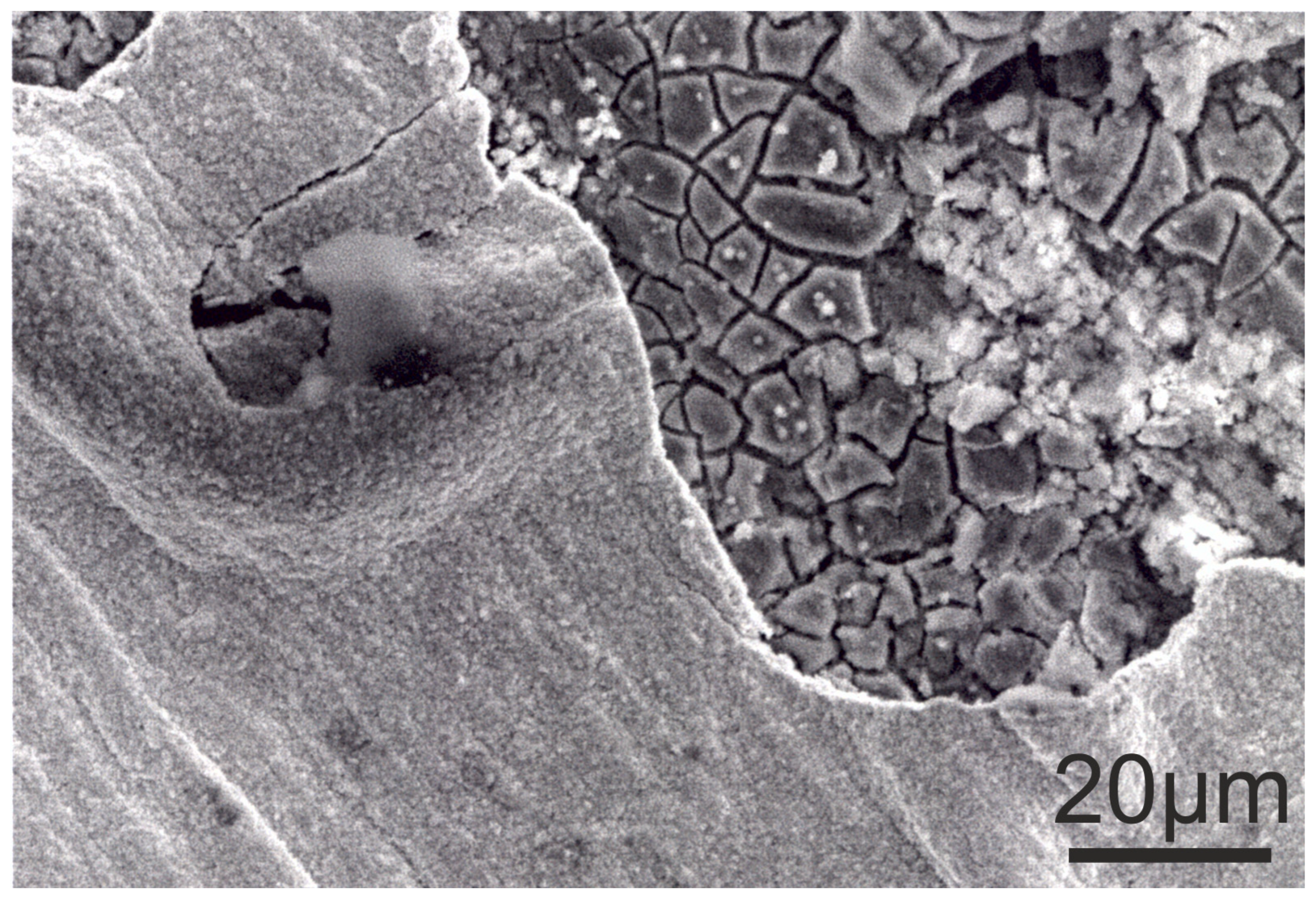 Metals 14 00524 g010 Metals 14 00524 g010