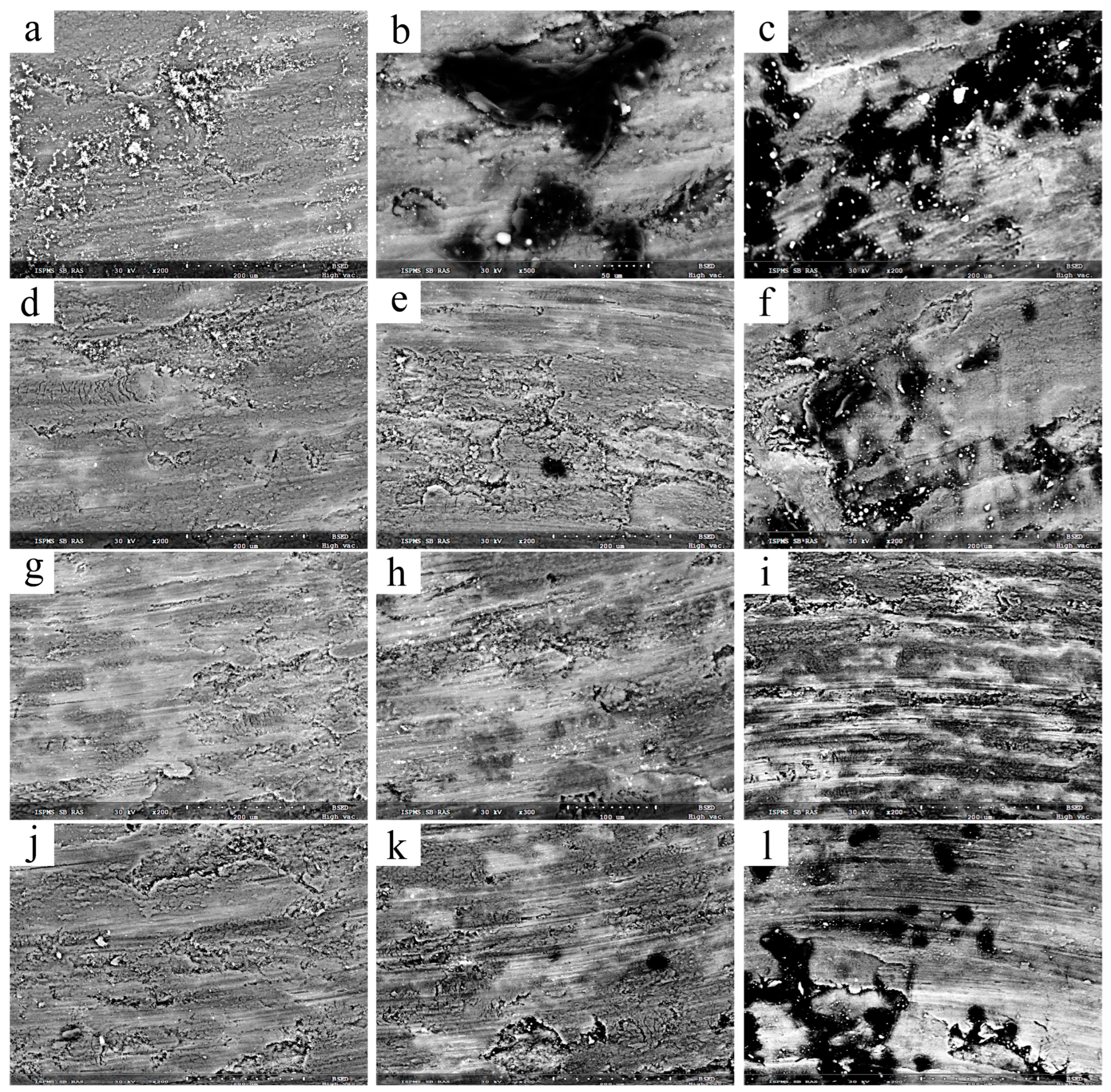 Metals 14 00527 g013