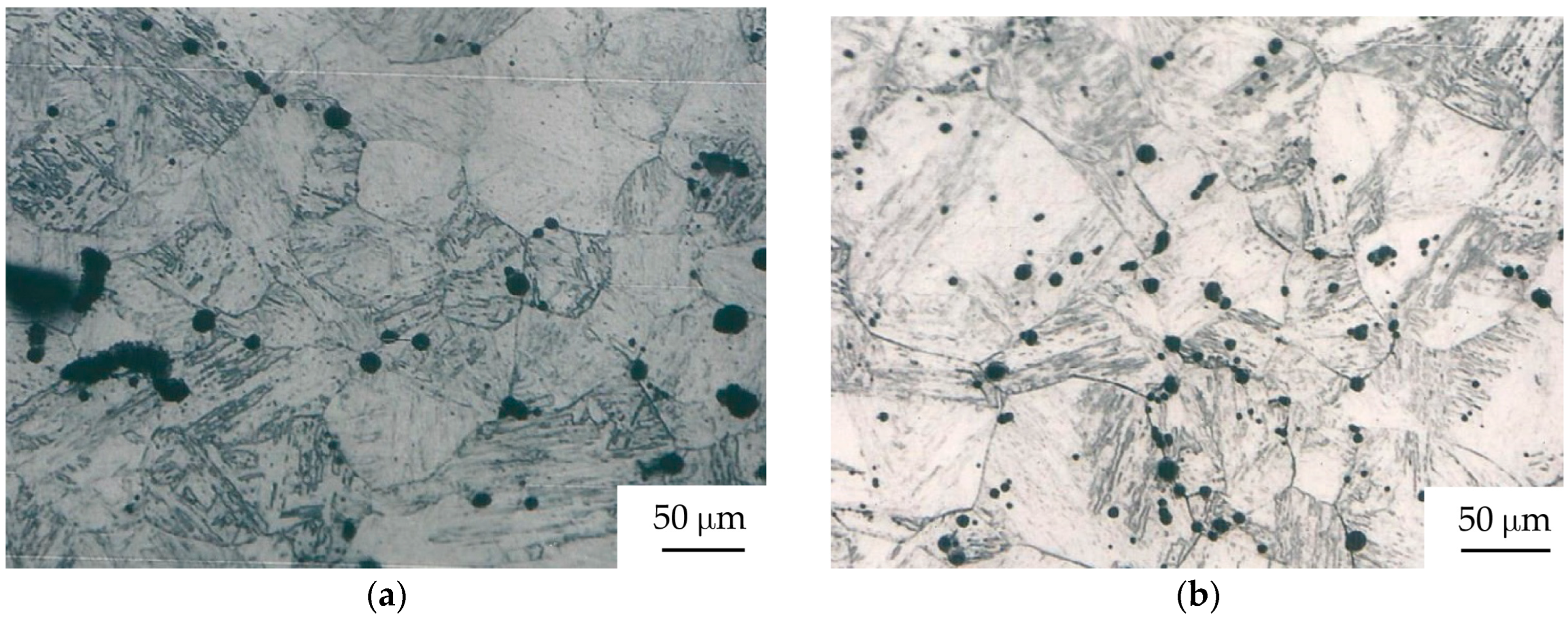 Metals 14 00554 g001