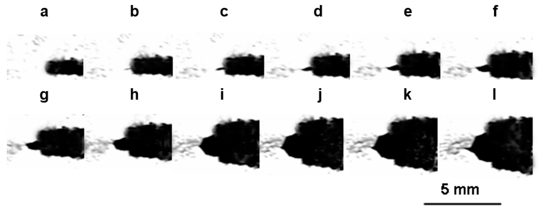 Metals 14 00566 g004