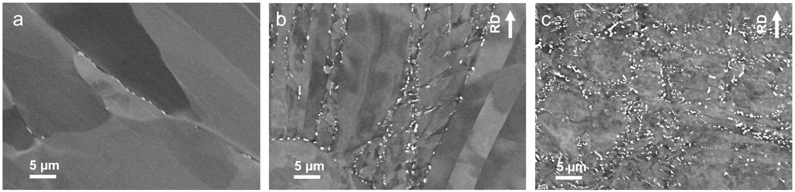 Metals 14 00577 g003