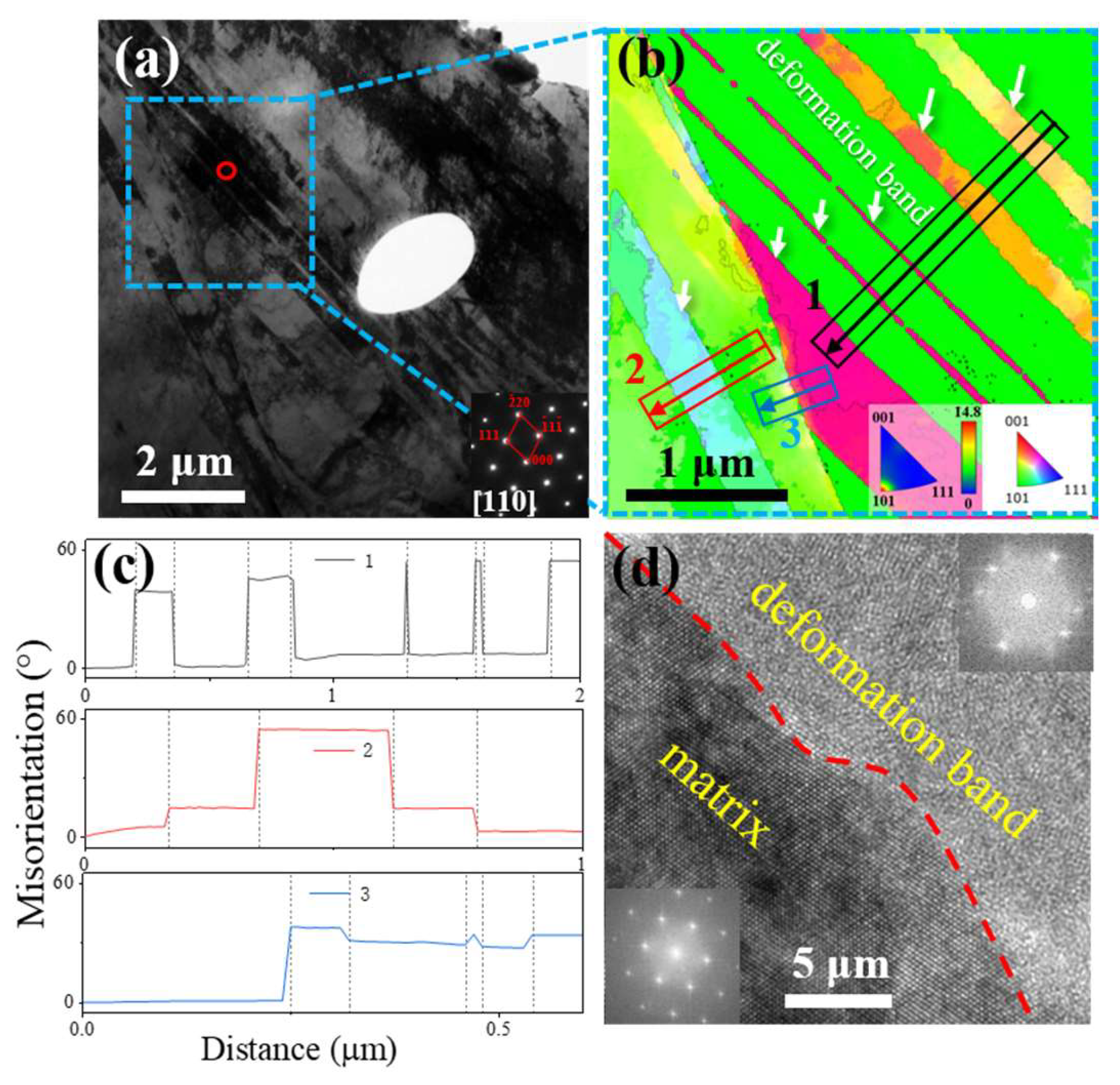 Metals 14 00590 g011