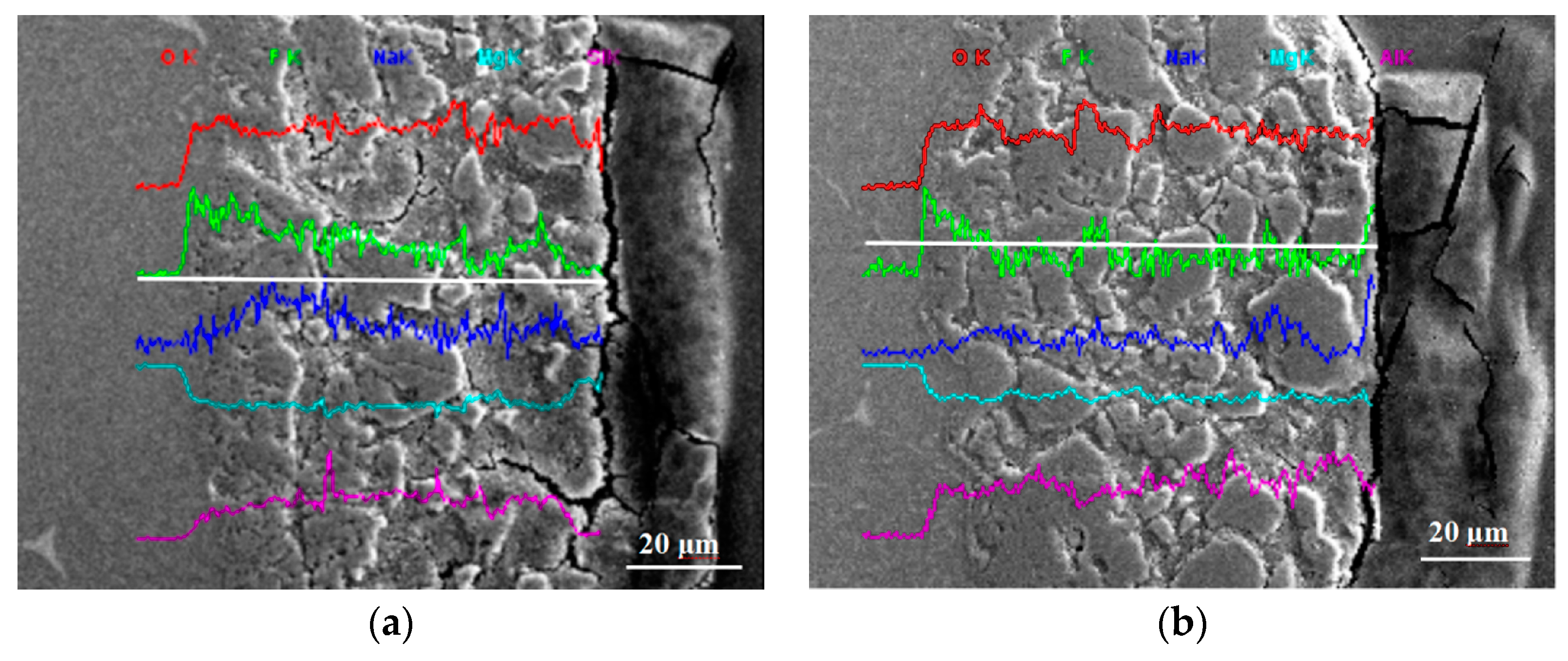 Metals 14 00594 g004