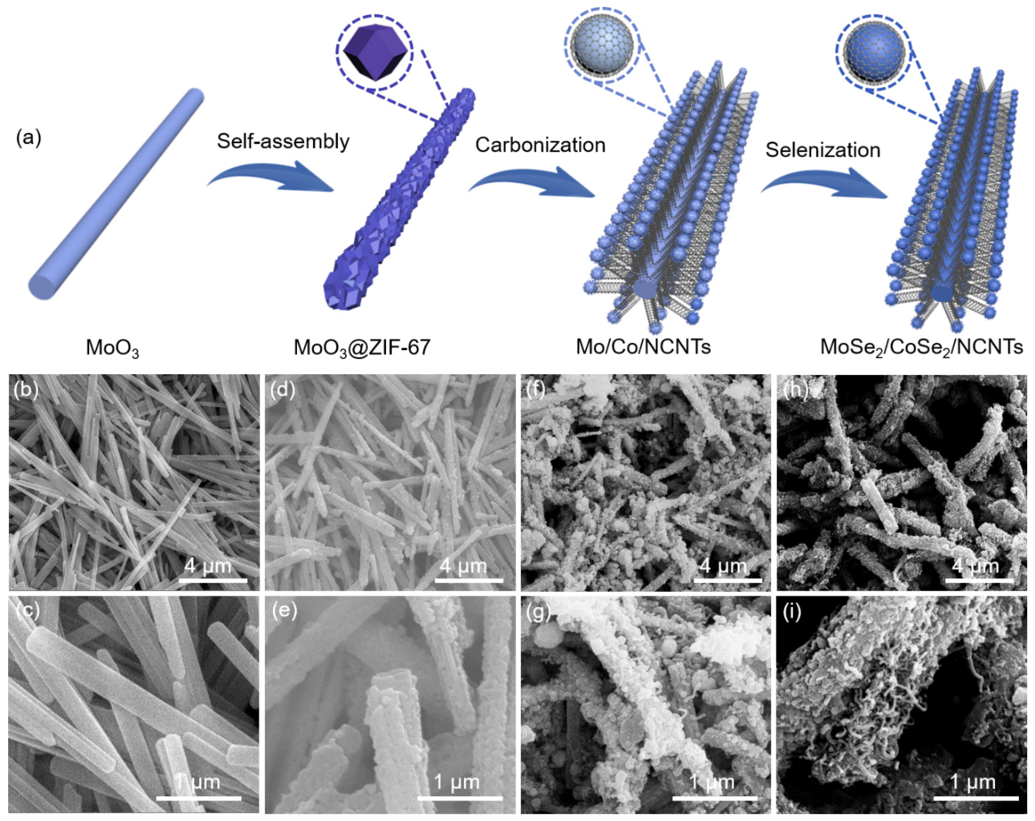 Metals 14 00595 g001