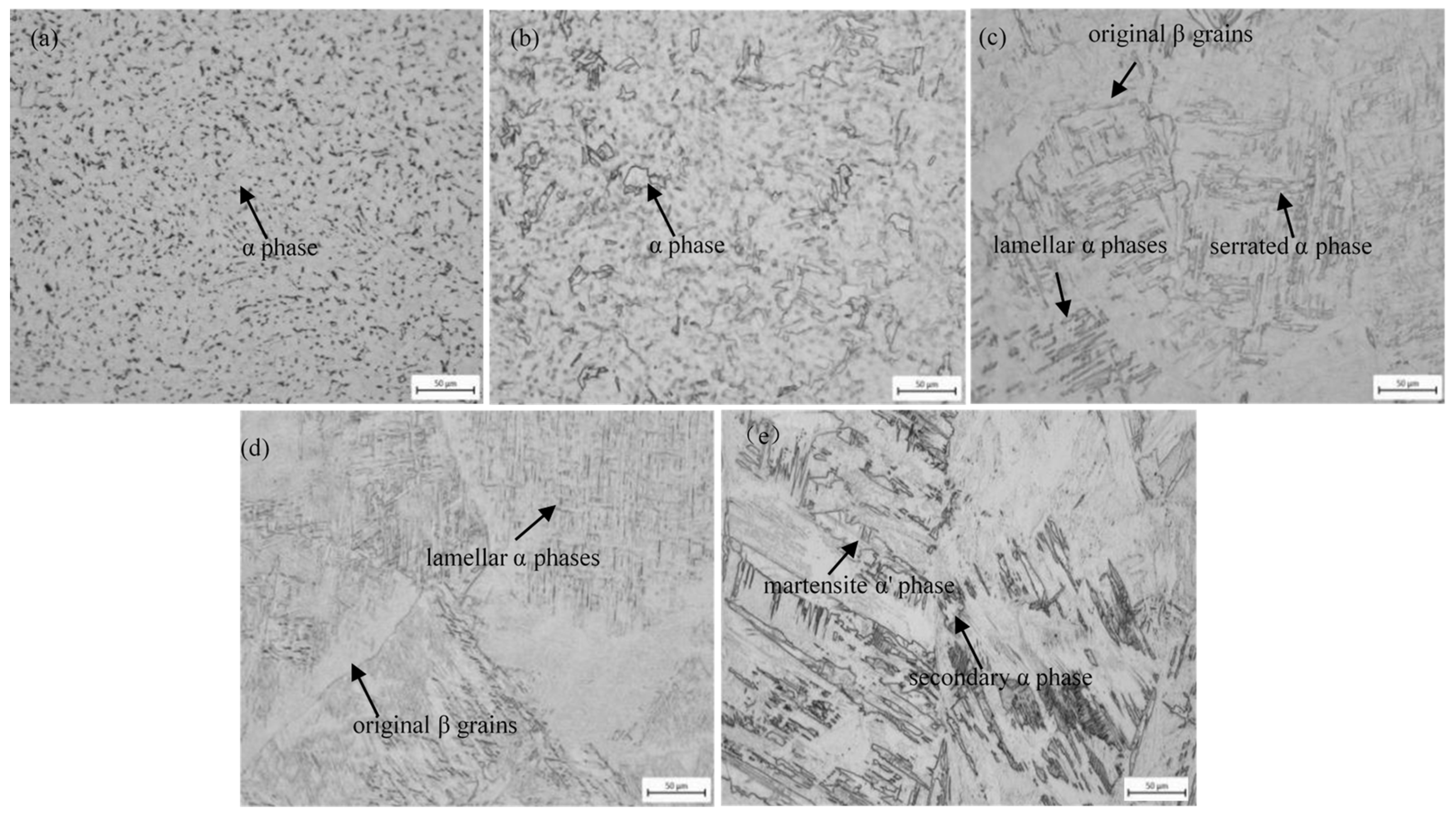 Metals | Free Full-Text | An Investigation into the Microstructures and ...